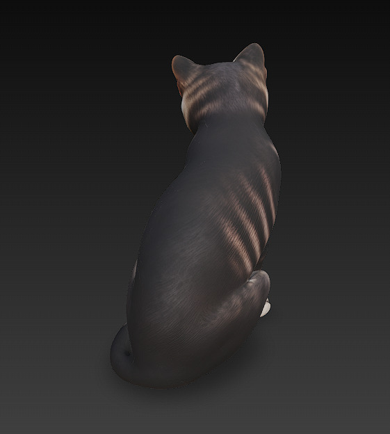 Cat Realistic 3D Model Basic - Low Poly Realistic Low-poly 3D model_4