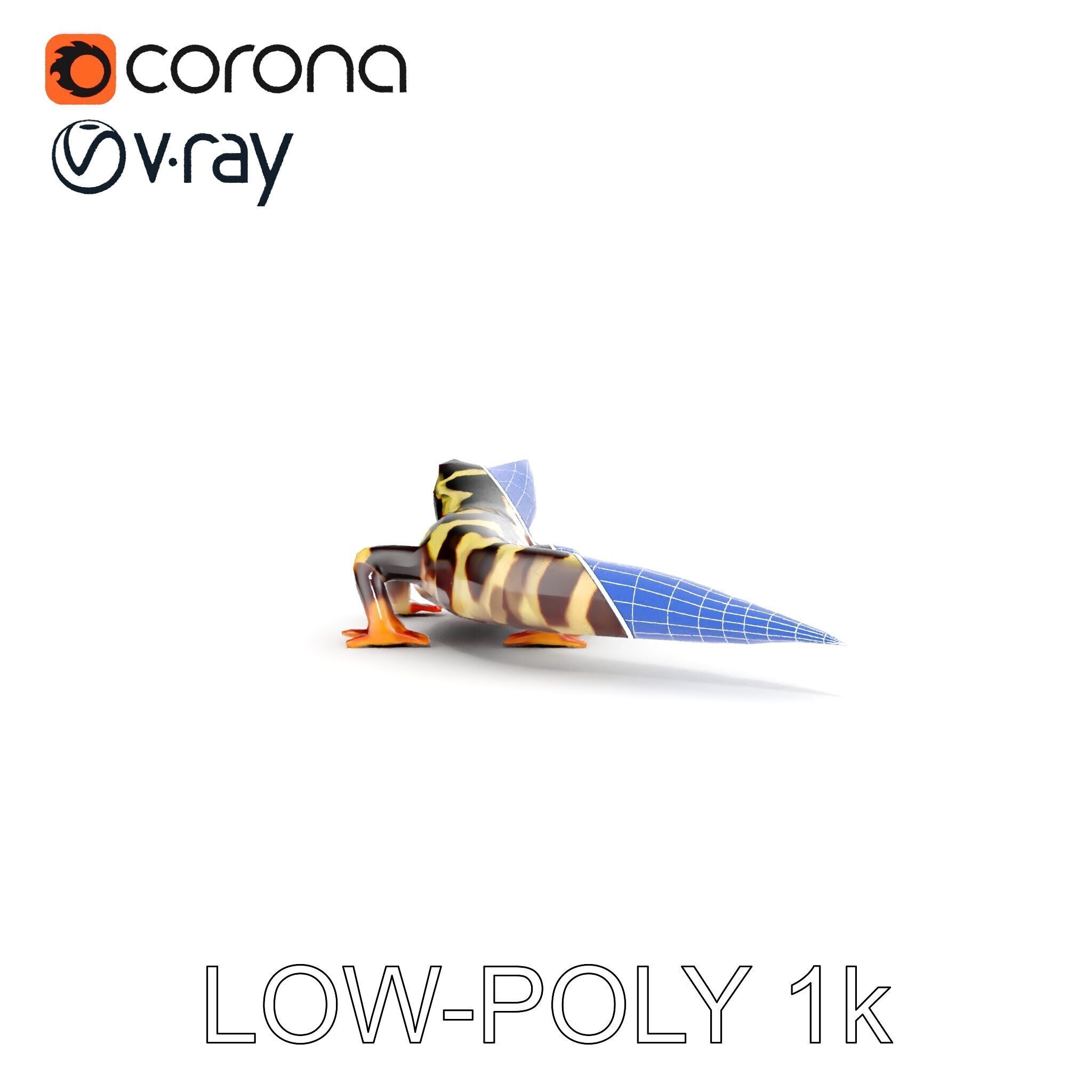 Colorful Salamander Model Pack Low-poly 3D model_27