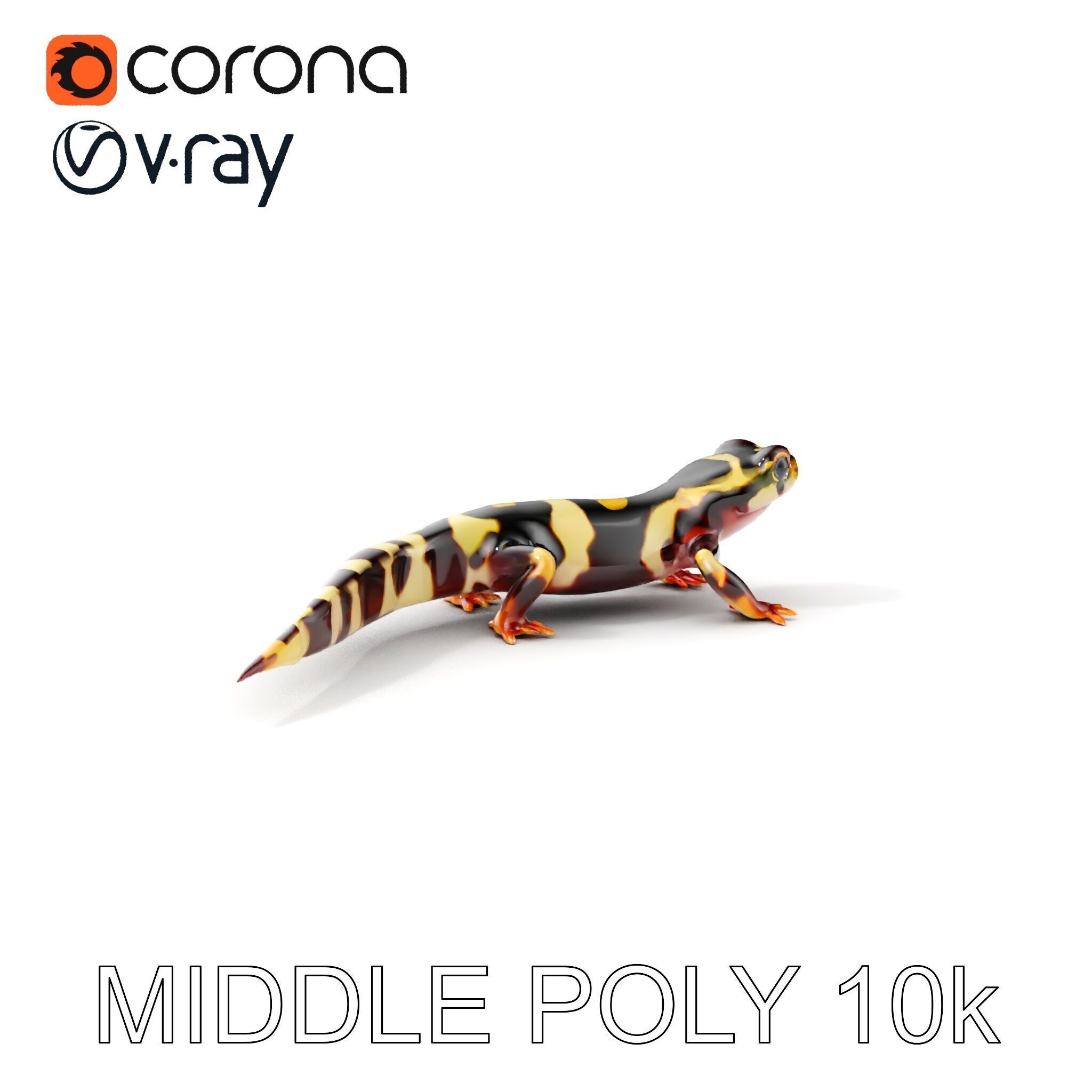 Colorful Salamander Model Pack Low-poly 3D model_17
