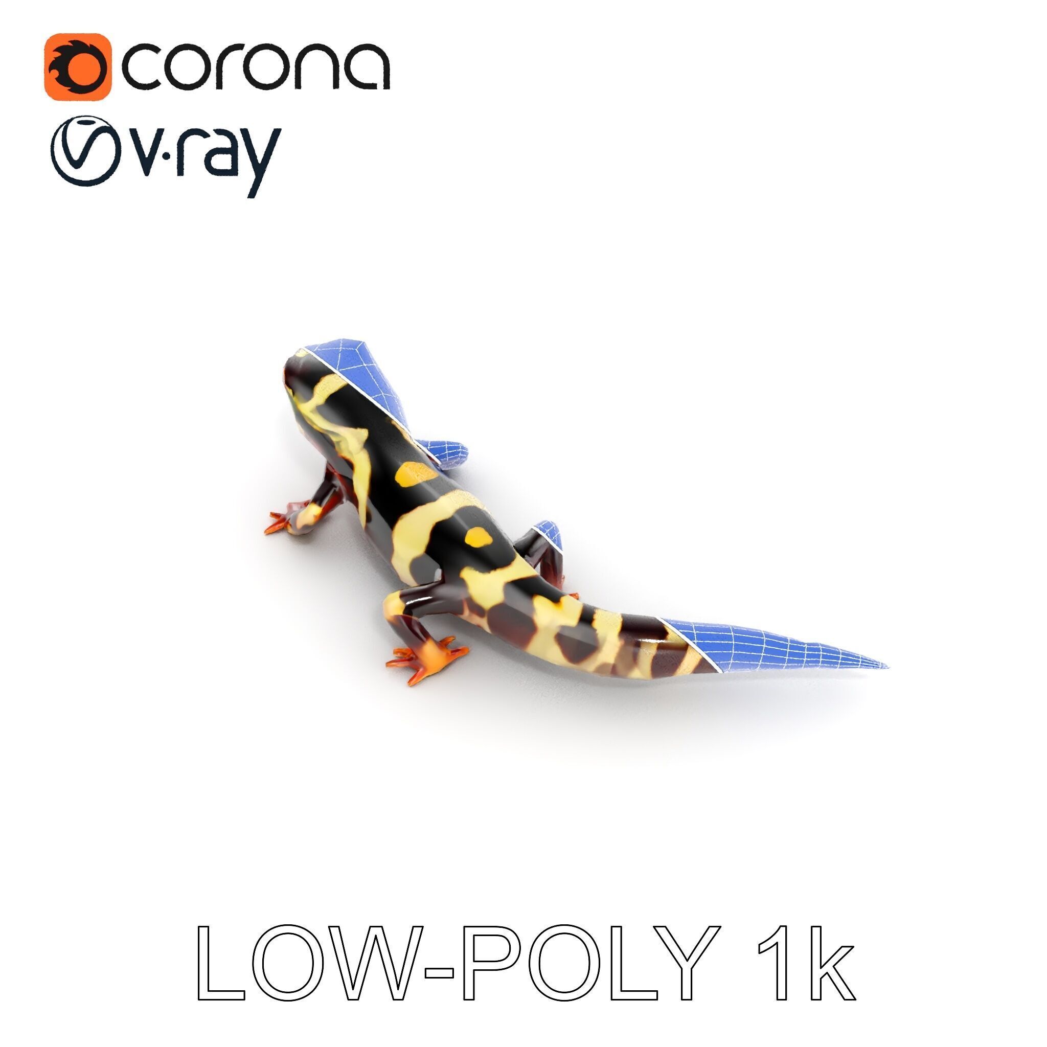 Colorful Salamander Model Pack Low-poly 3D model_15