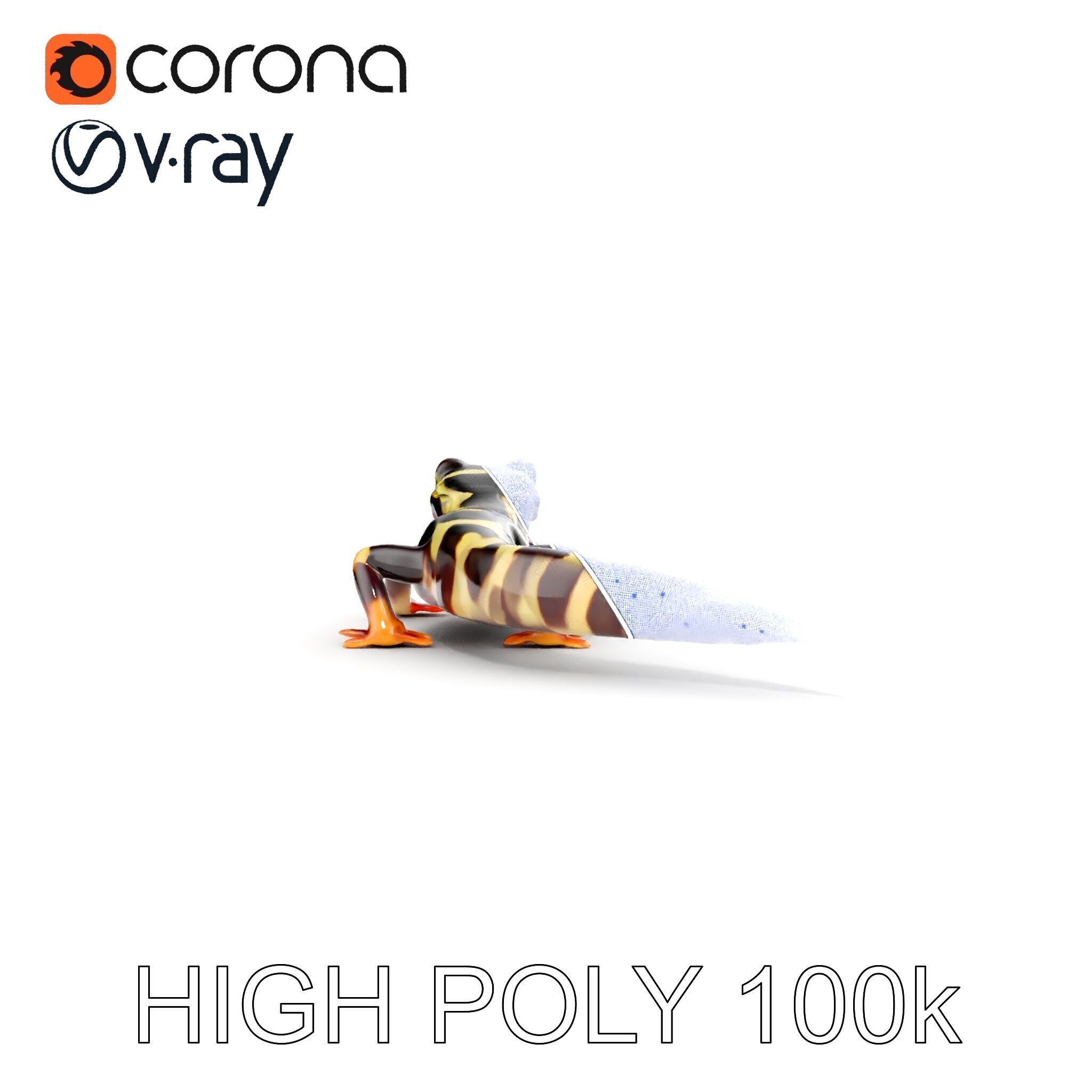 Colorful Salamander Model Pack Low-poly 3D model_13