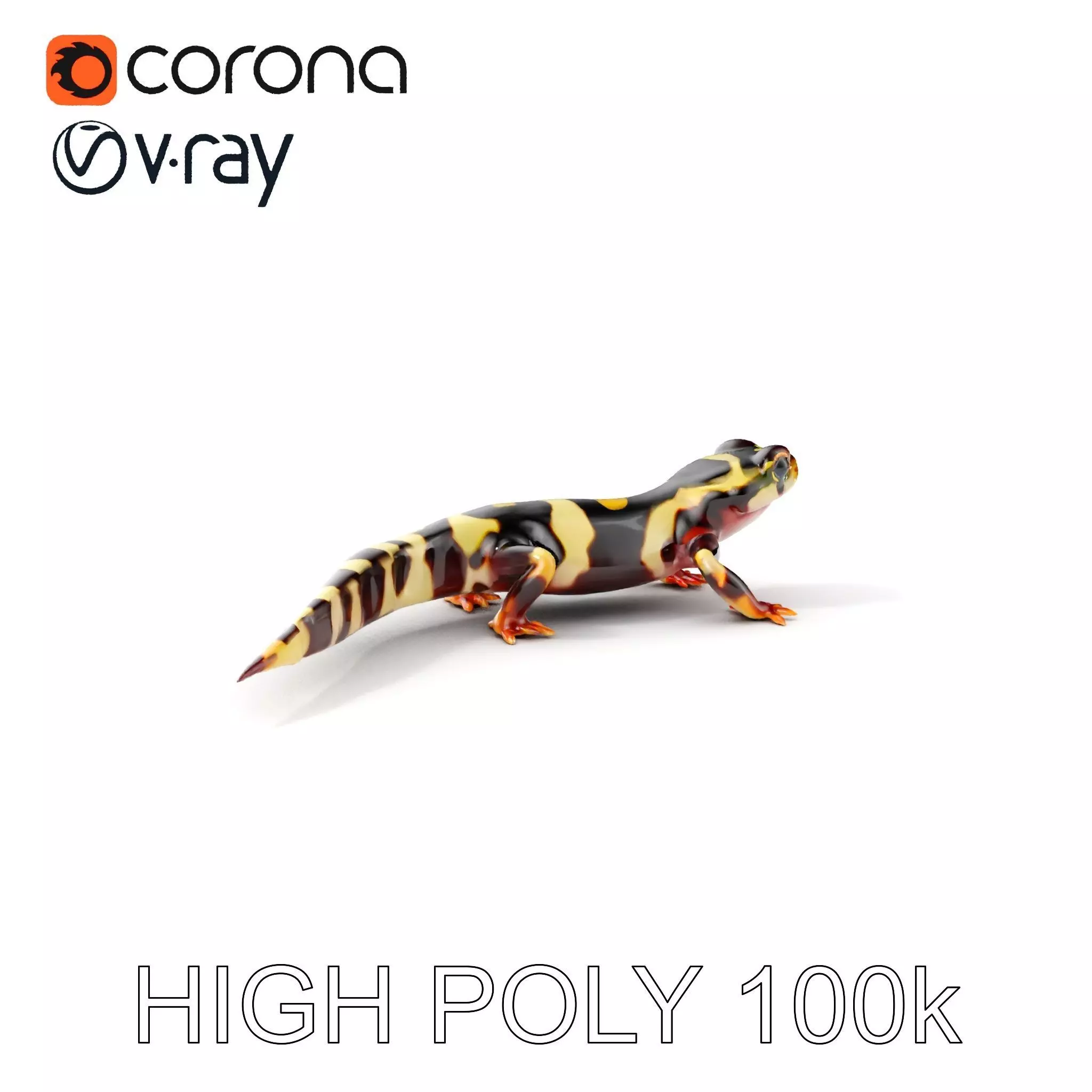 Colorful Salamander Model Pack Low-poly 3D model_0