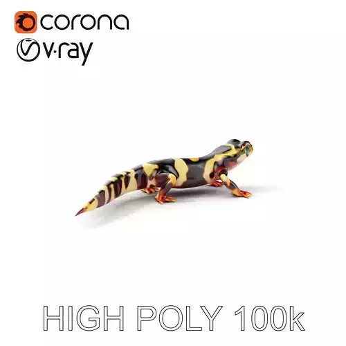 Colorful Salamander Model Pack Low-poly 3D model
