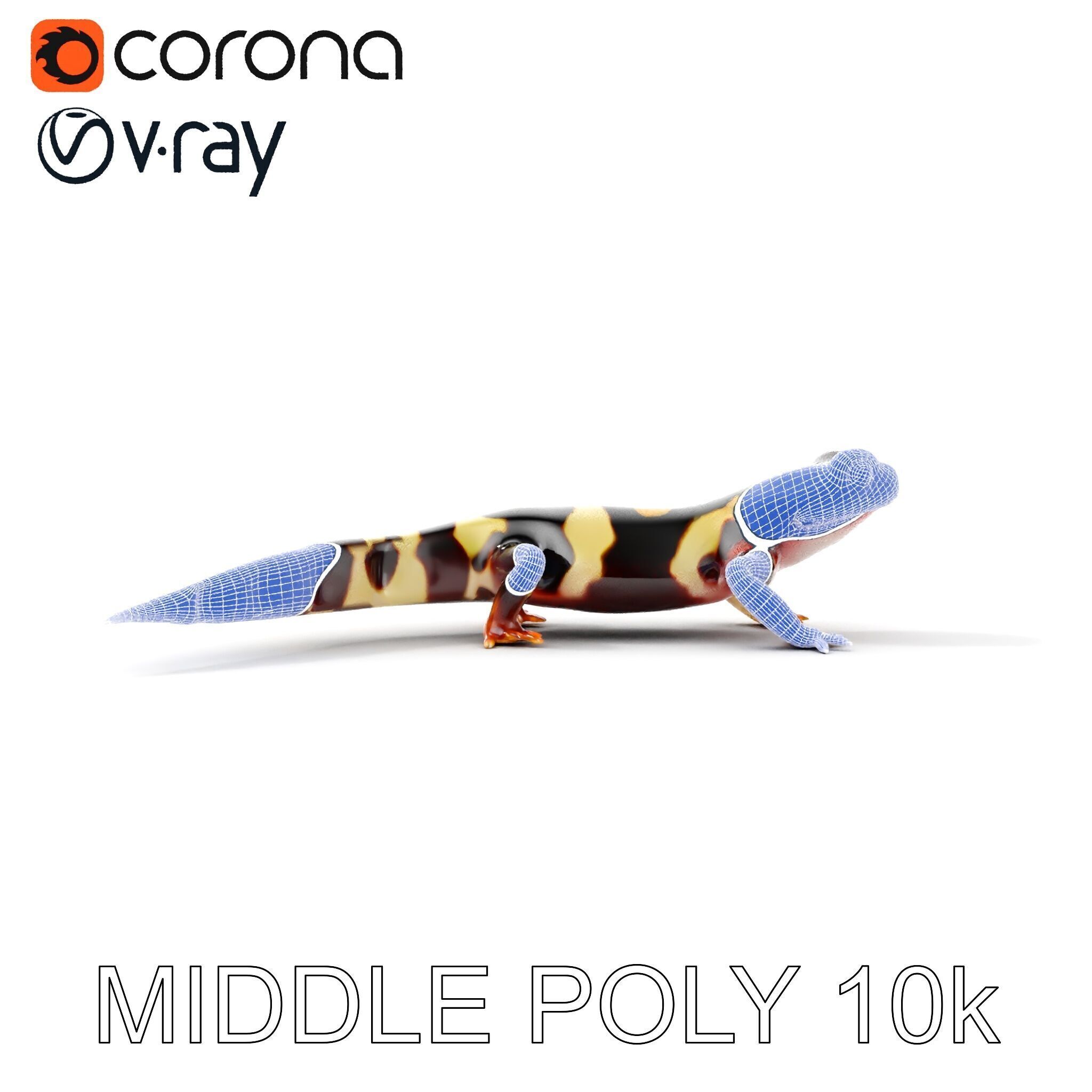 Colorful Salamander Model Pack Low-poly 3D model_6