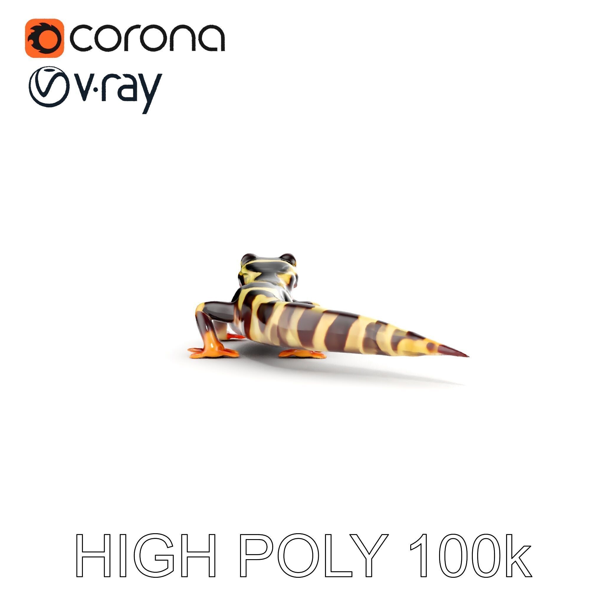 Colorful Salamander Model Pack Low-poly 3D model_16
