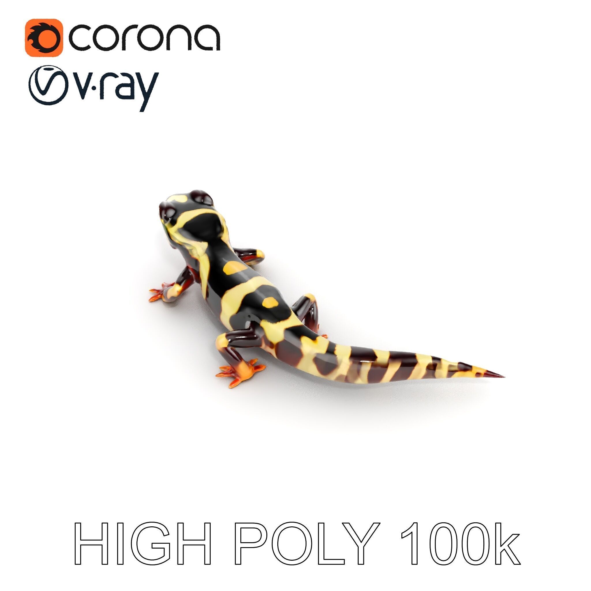 Colorful Salamander Model Pack Low-poly 3D model_35