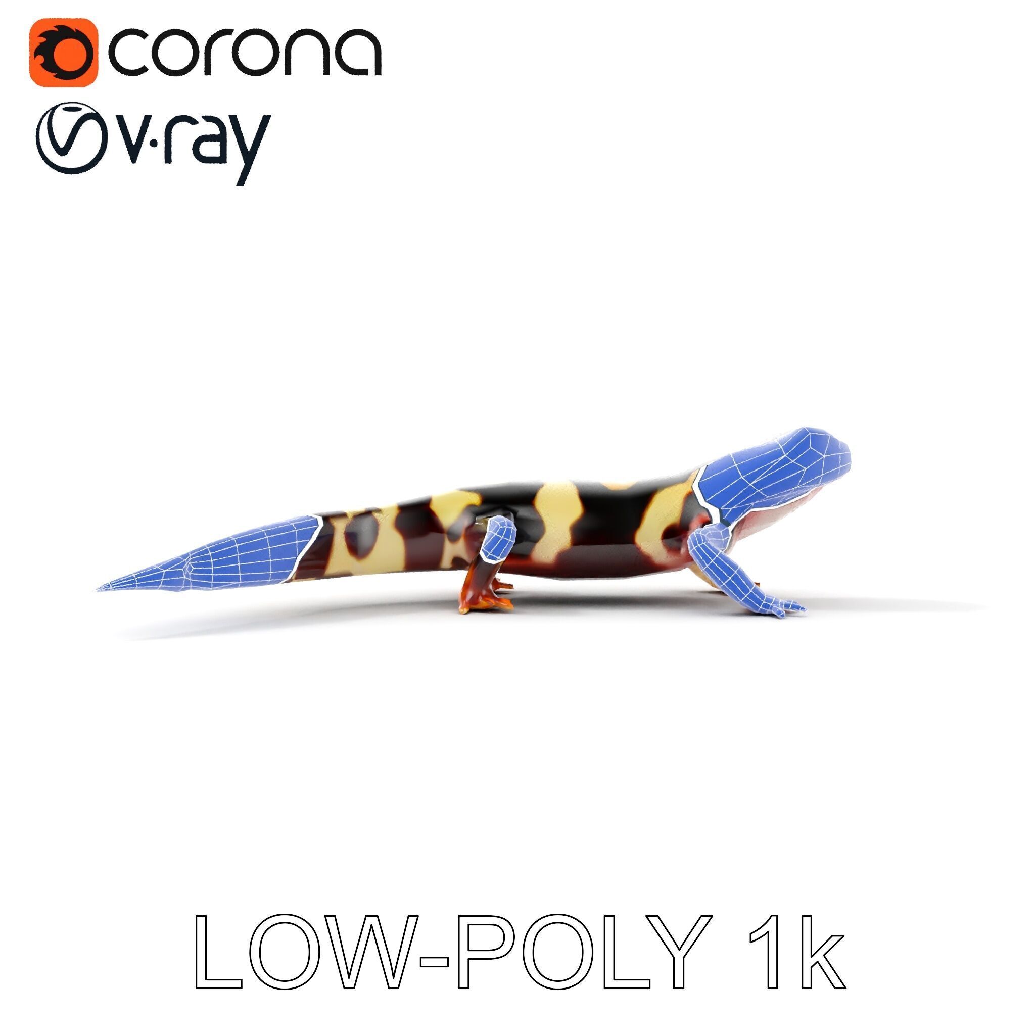 Colorful Salamander Model Pack Low-poly 3D model_12