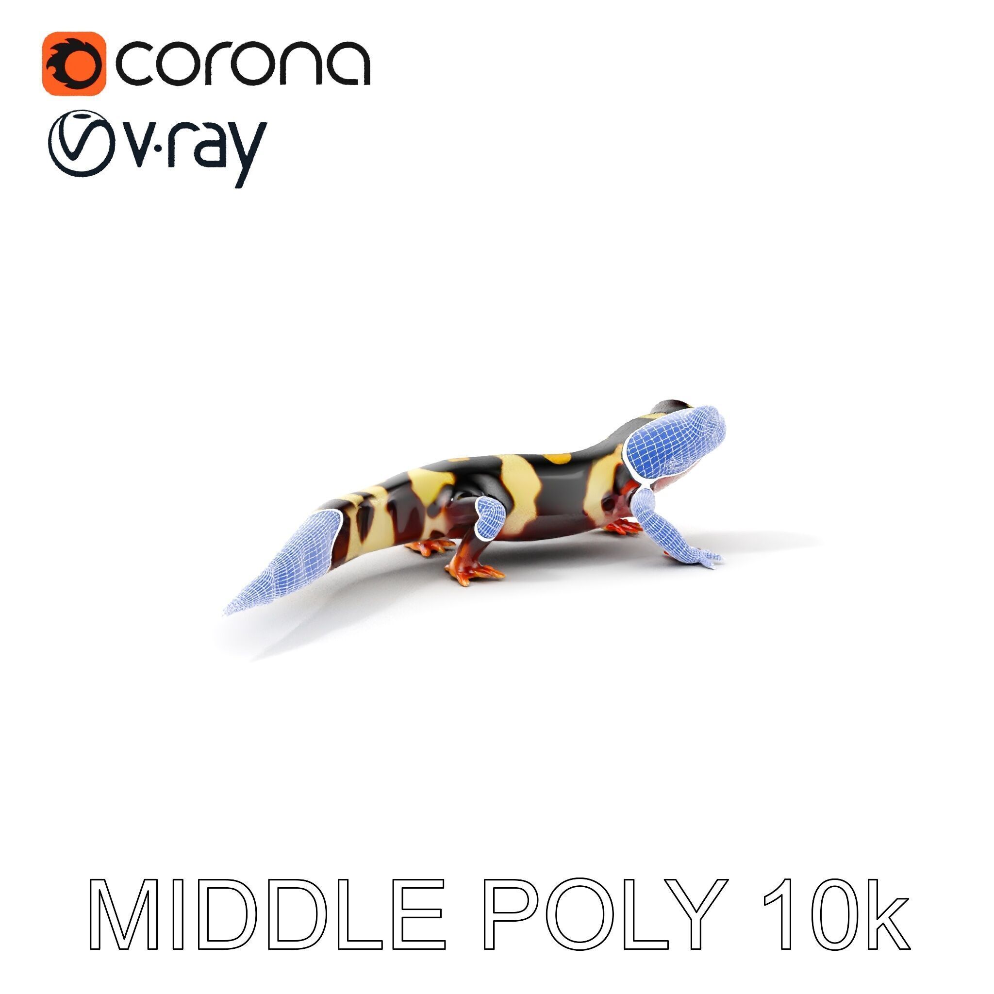 Colorful Salamander Model Pack Low-poly 3D model_8