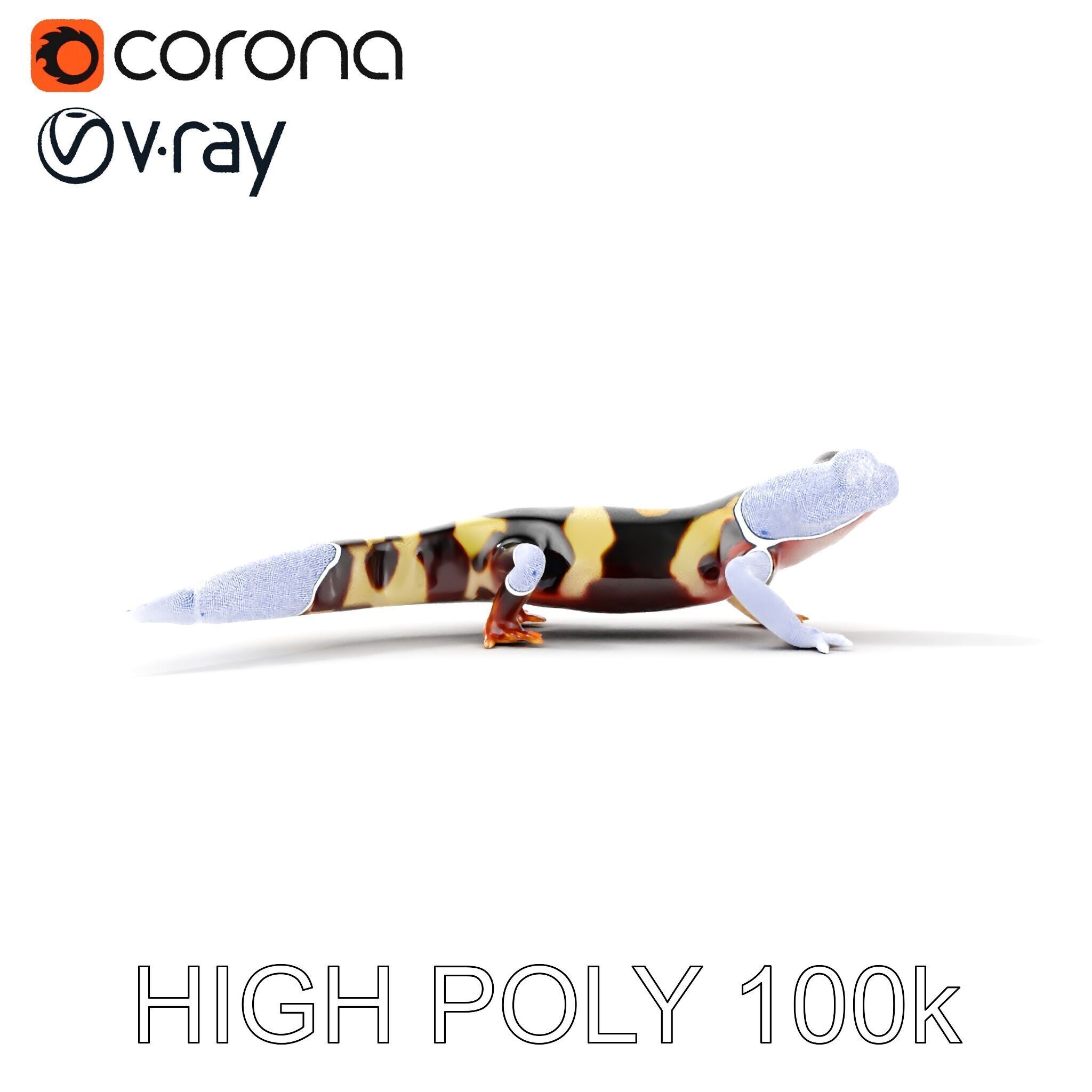 Colorful Salamander Model Pack Low-poly 3D model_25