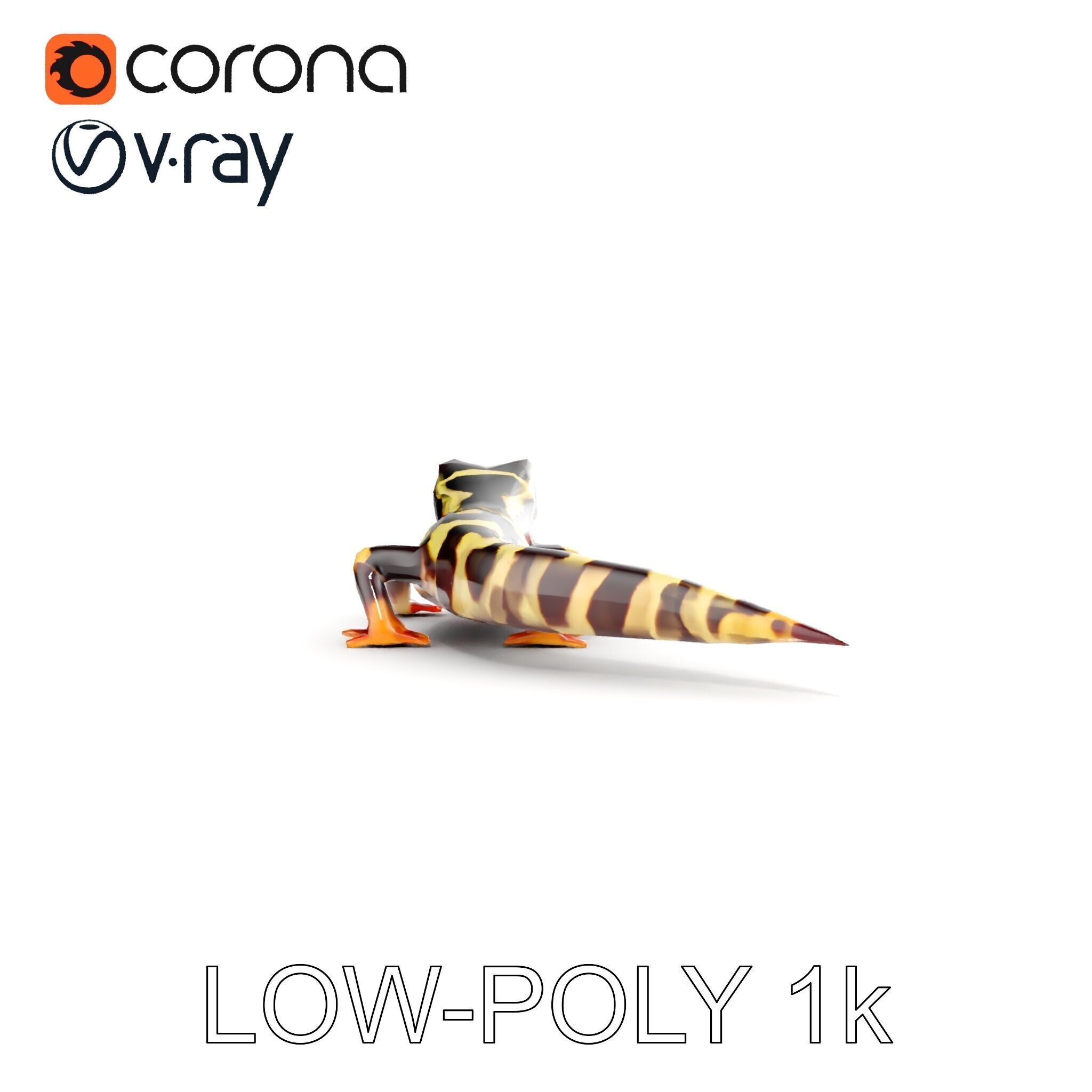 Colorful Salamander Model Pack Low-poly 3D model_29