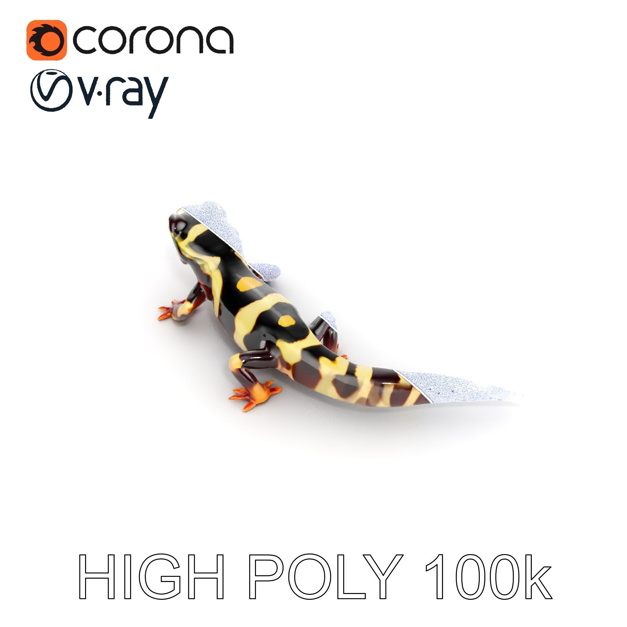 Colorful Salamander Model Pack Low-poly 3D model_10