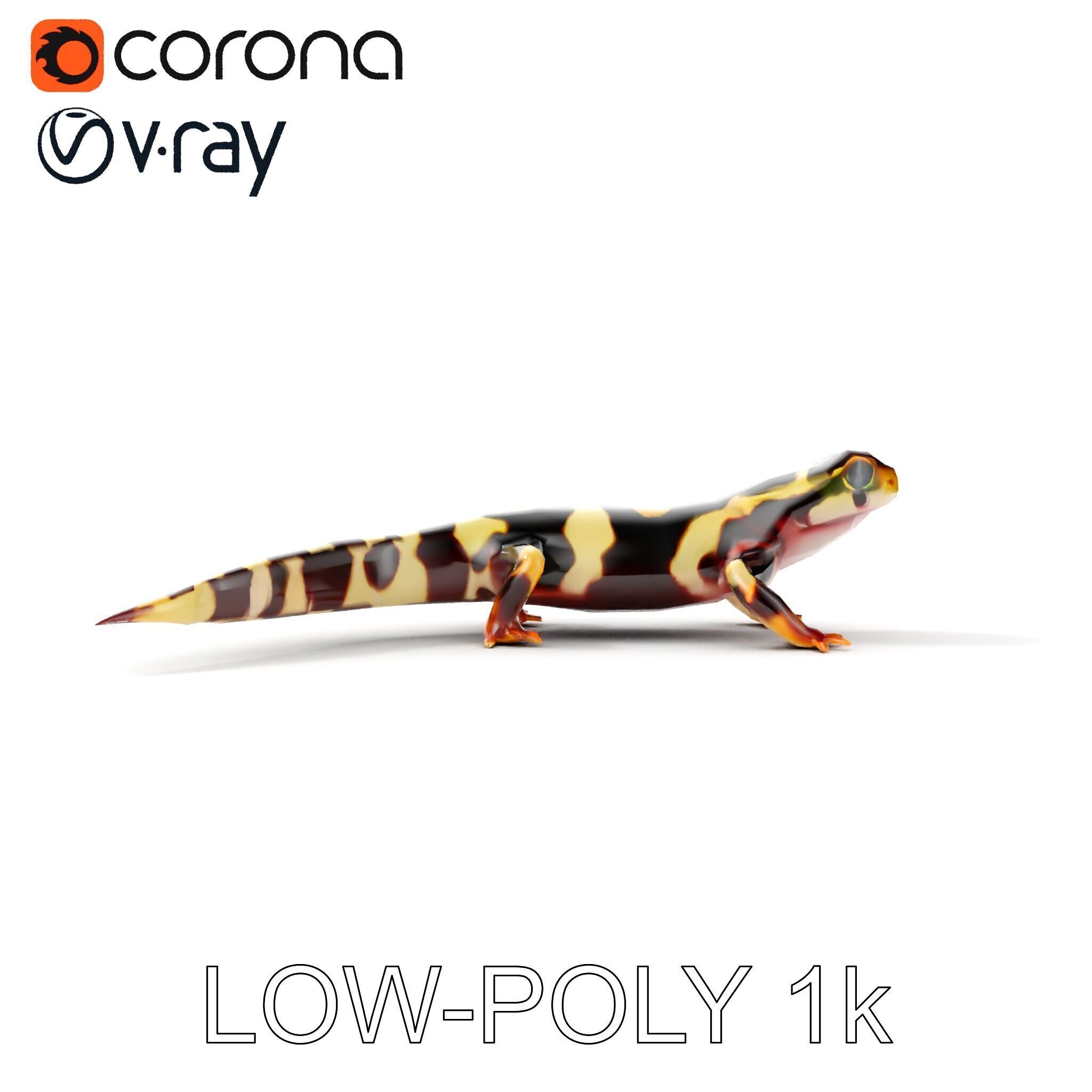 Colorful Salamander Model Pack Low-poly 3D model_24
