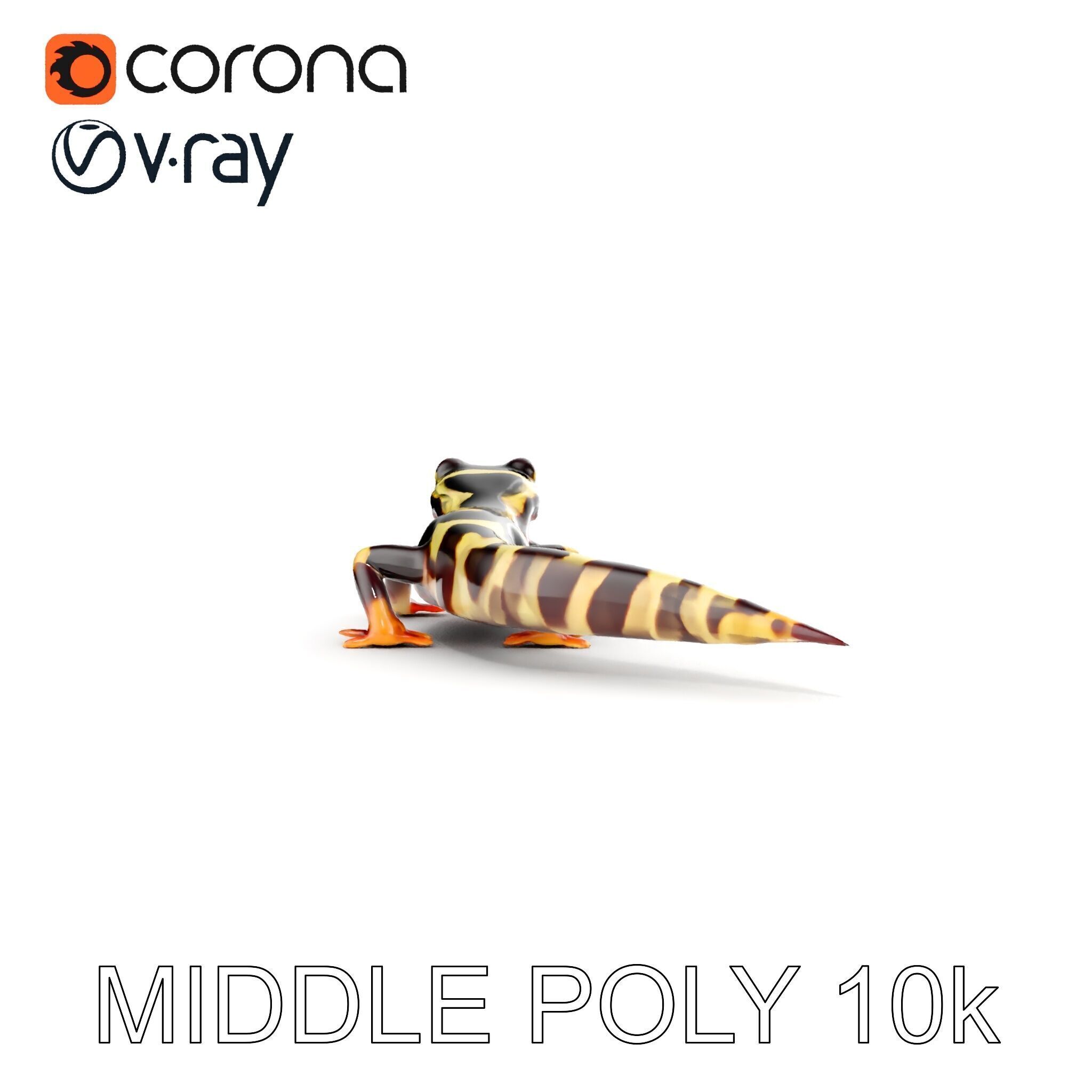 Colorful Salamander Model Pack Low-poly 3D model_28