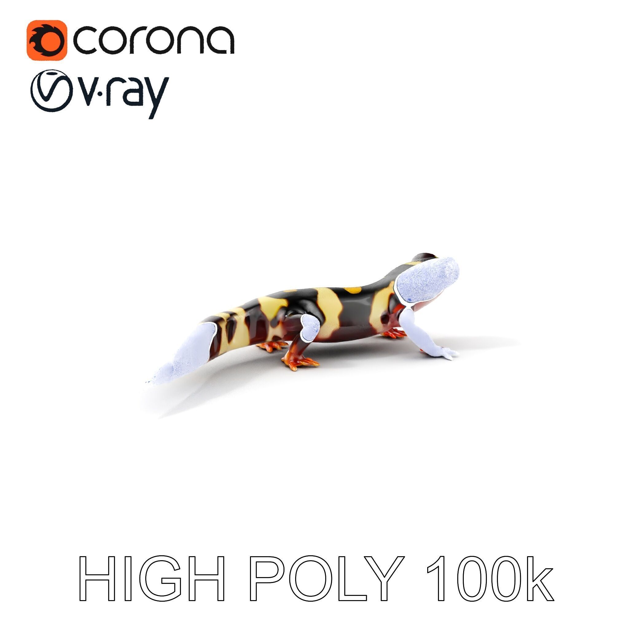 Colorful Salamander Model Pack Low-poly 3D model_4