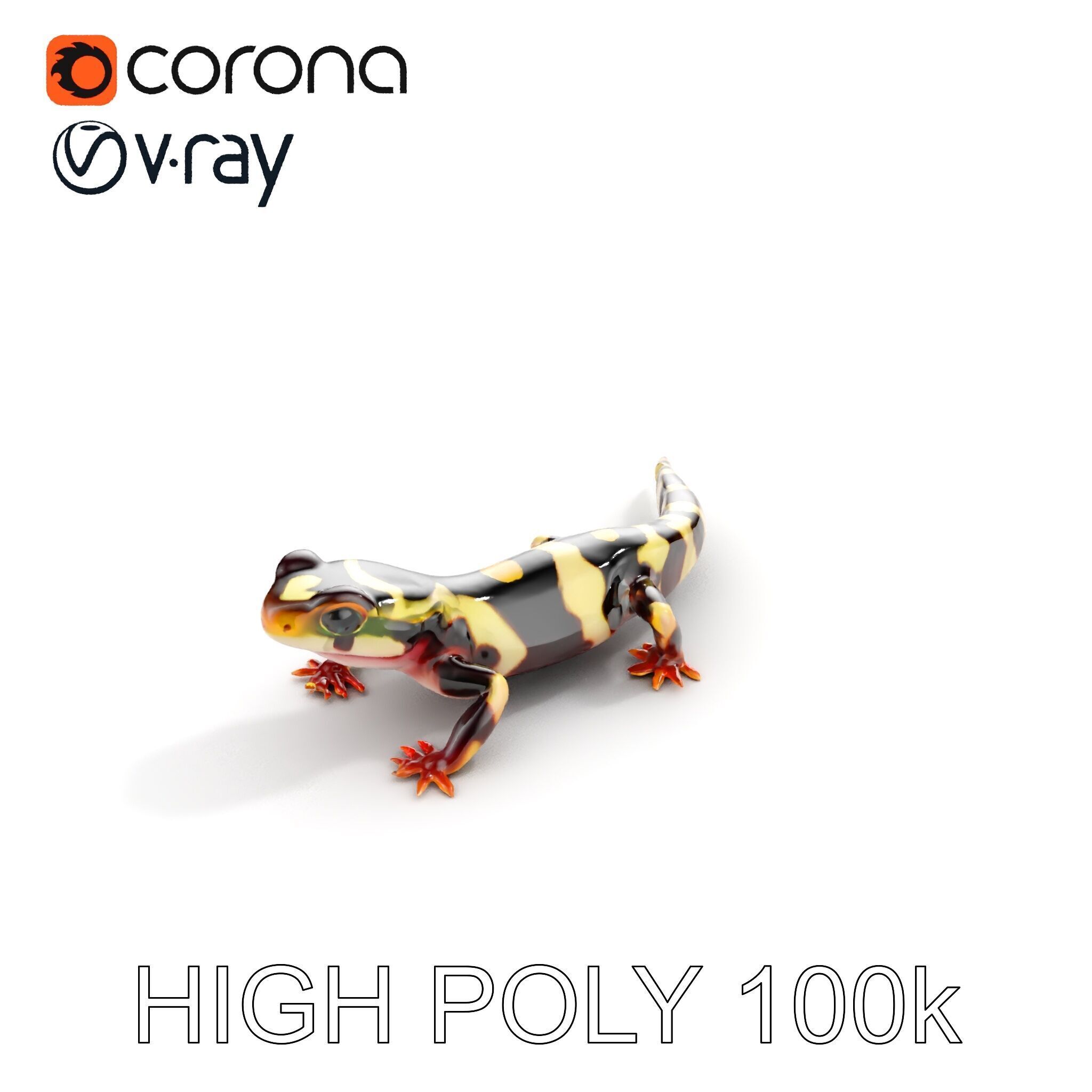 Colorful Salamander Model Pack Low-poly 3D model_19