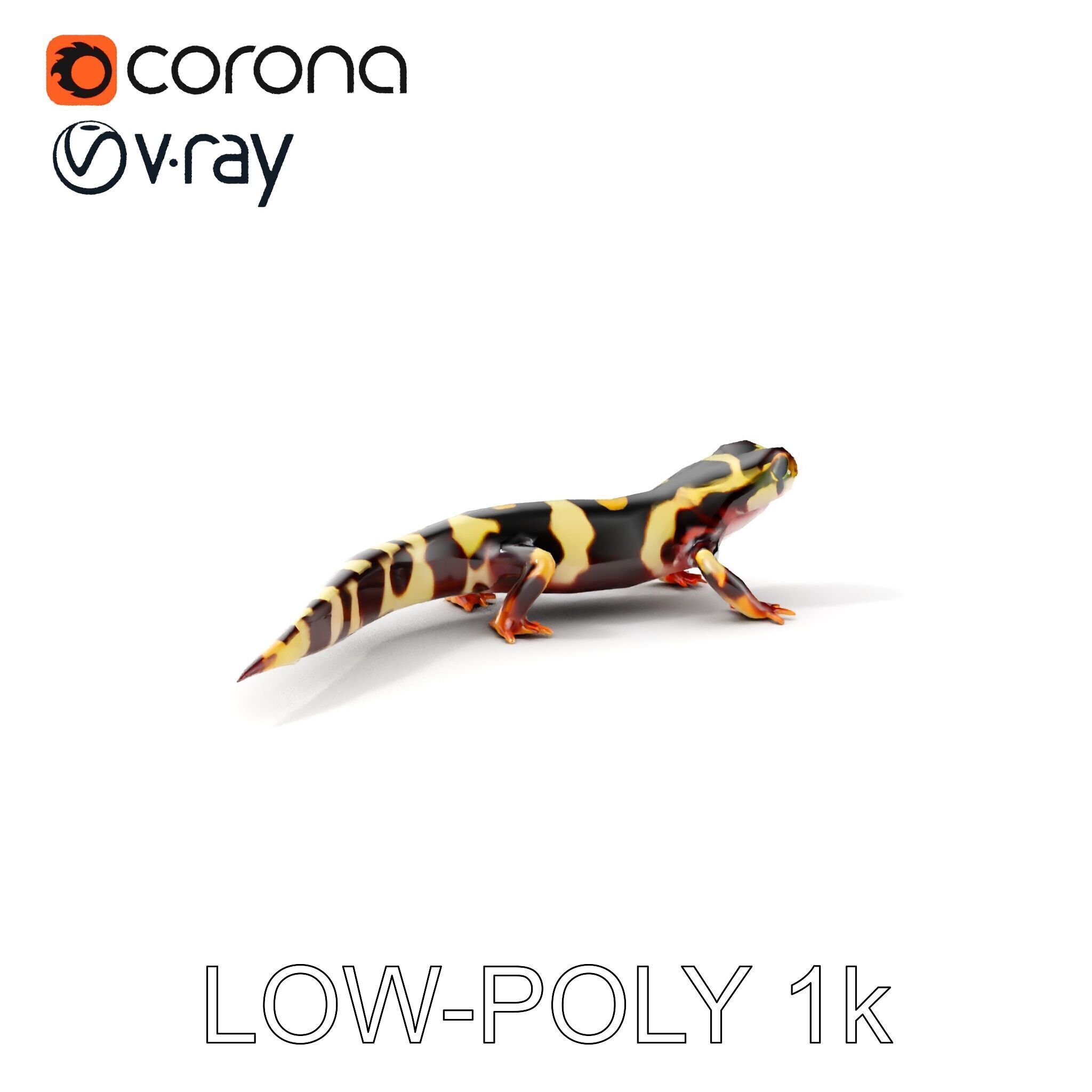 Colorful Salamander Model Pack Low-poly 3D model_18