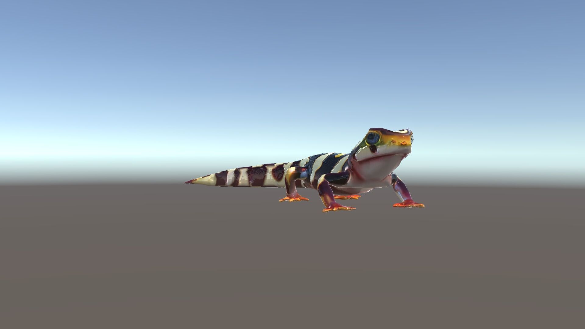 Colorful Salamander Model Pack Low-poly 3D model_34