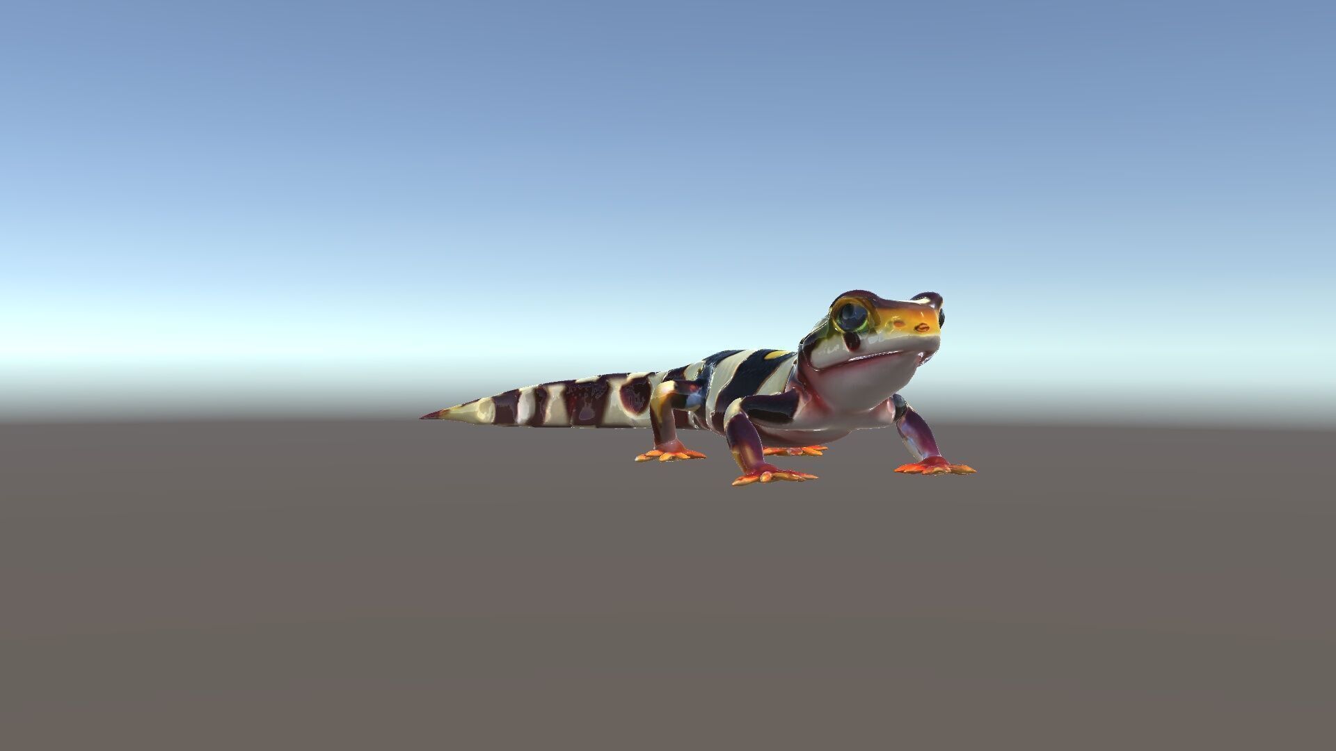 Colorful Salamander Model Pack Low-poly 3D model_5