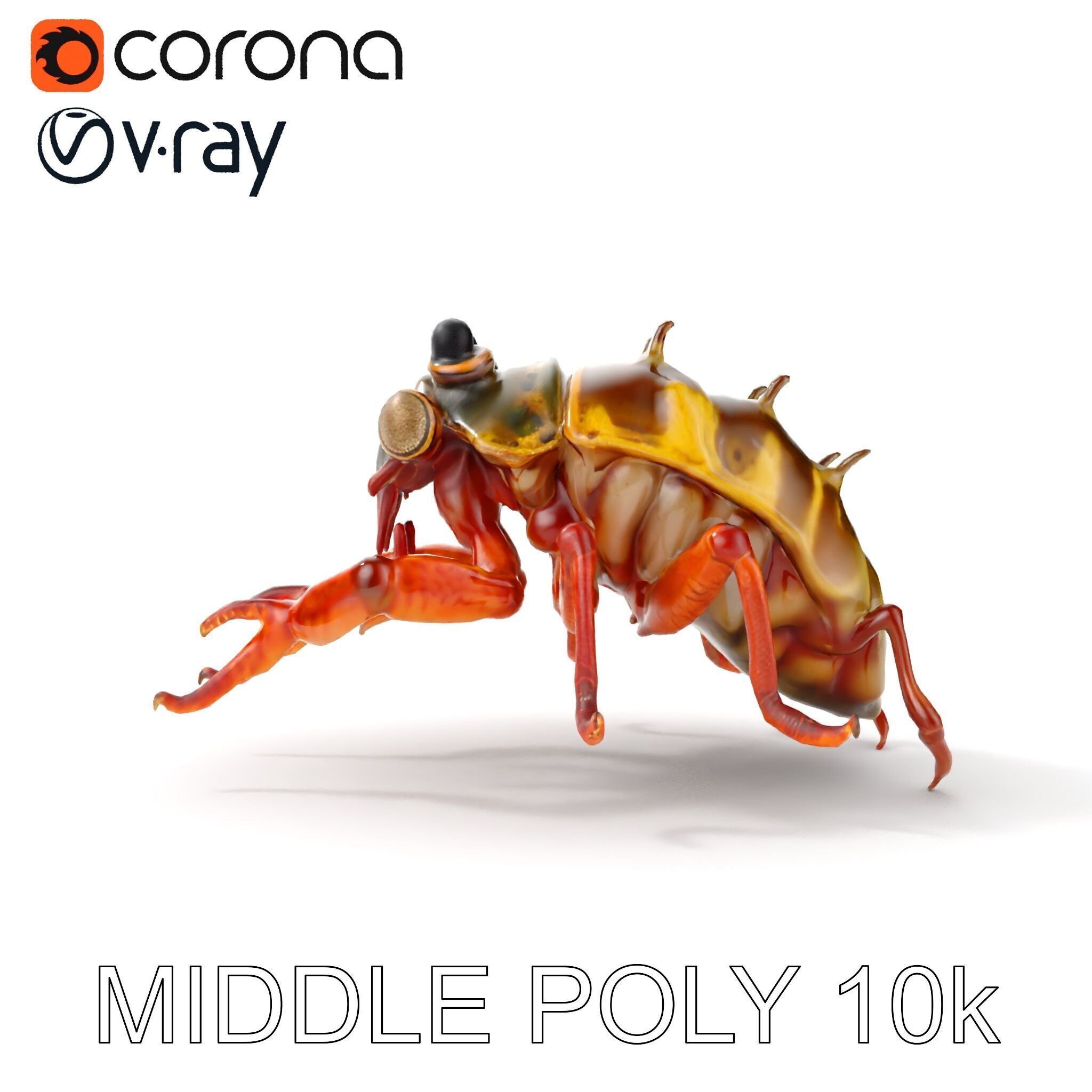 Detailed Insect Model Pack Low-poly 3D model_8