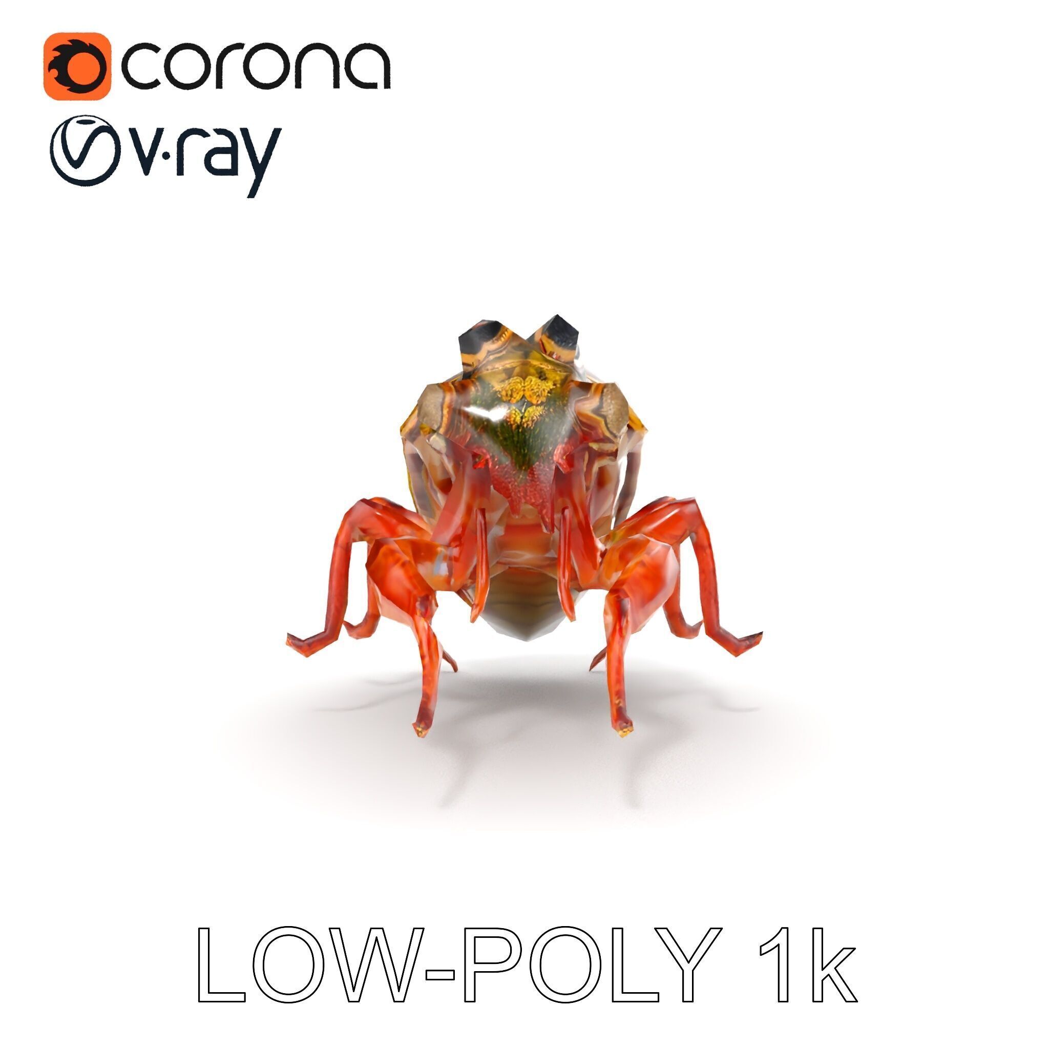 Detailed Insect Model Pack Low-poly 3D model_23