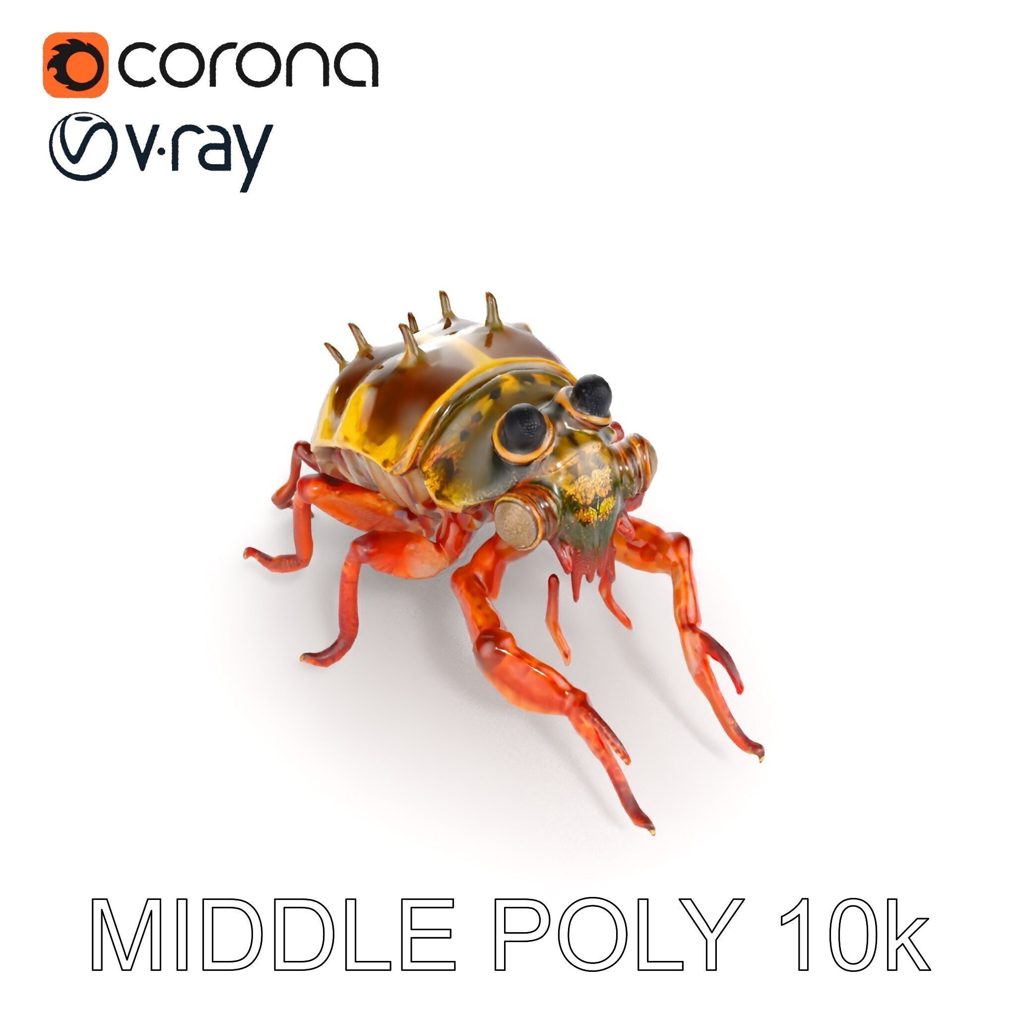 Detailed Insect Model Pack Low-poly 3D model_6