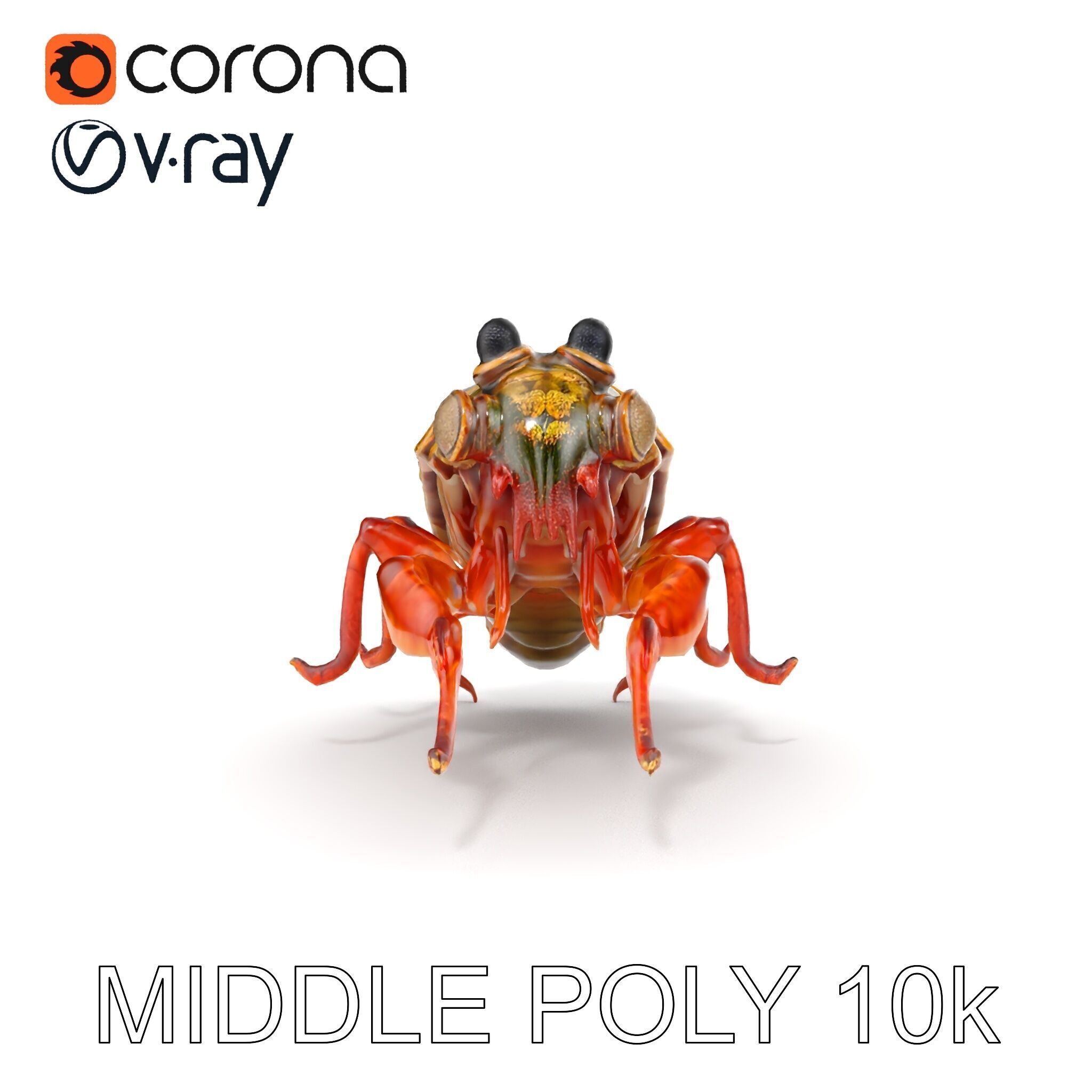 Detailed Insect Model Pack Low-poly 3D model_22