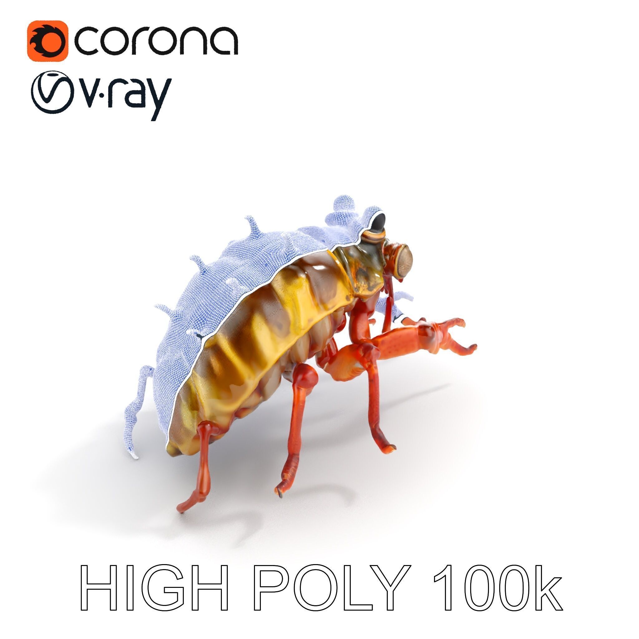 Detailed Insect Model Pack Low-poly 3D model_16