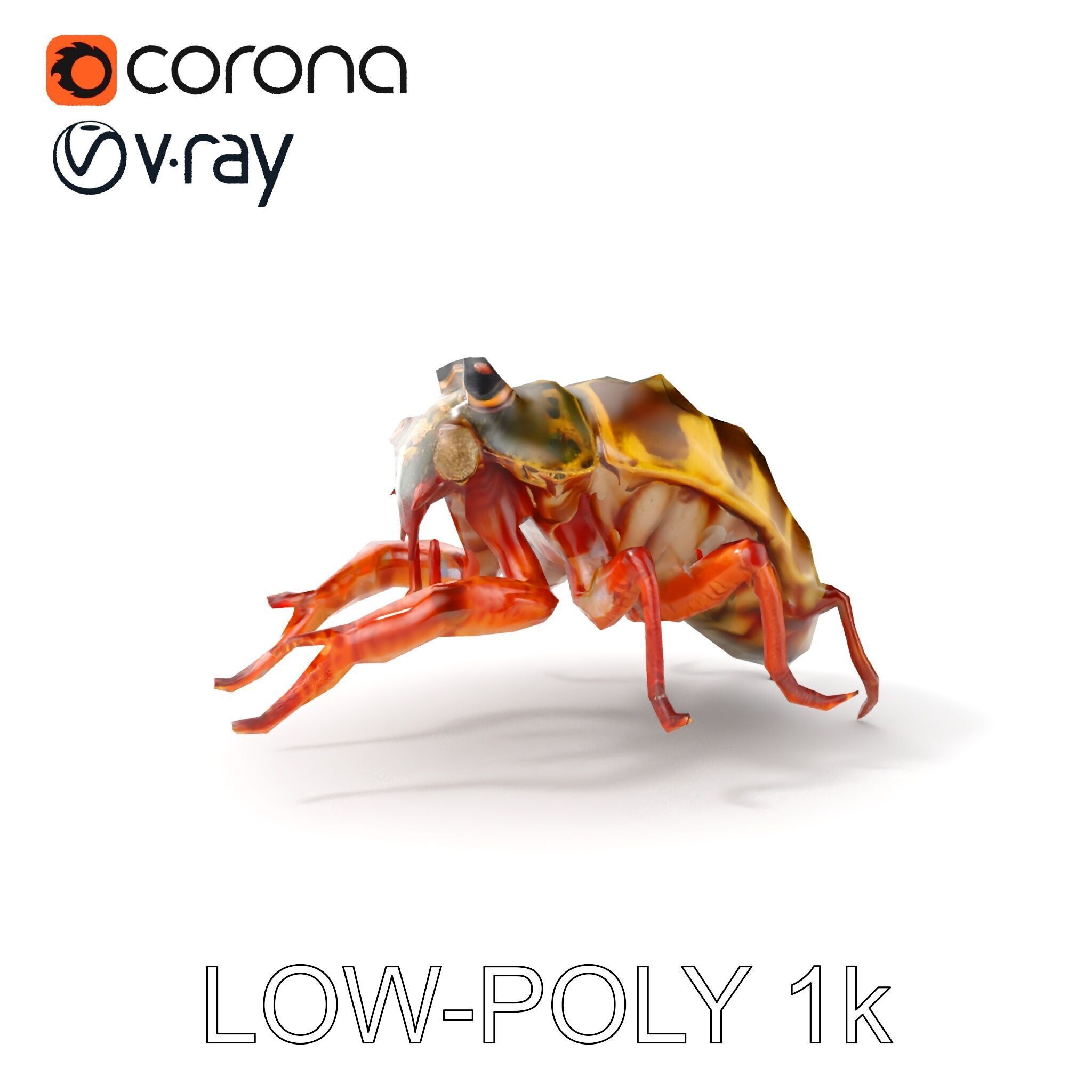 Detailed Insect Model Pack Low-poly 3D model_20