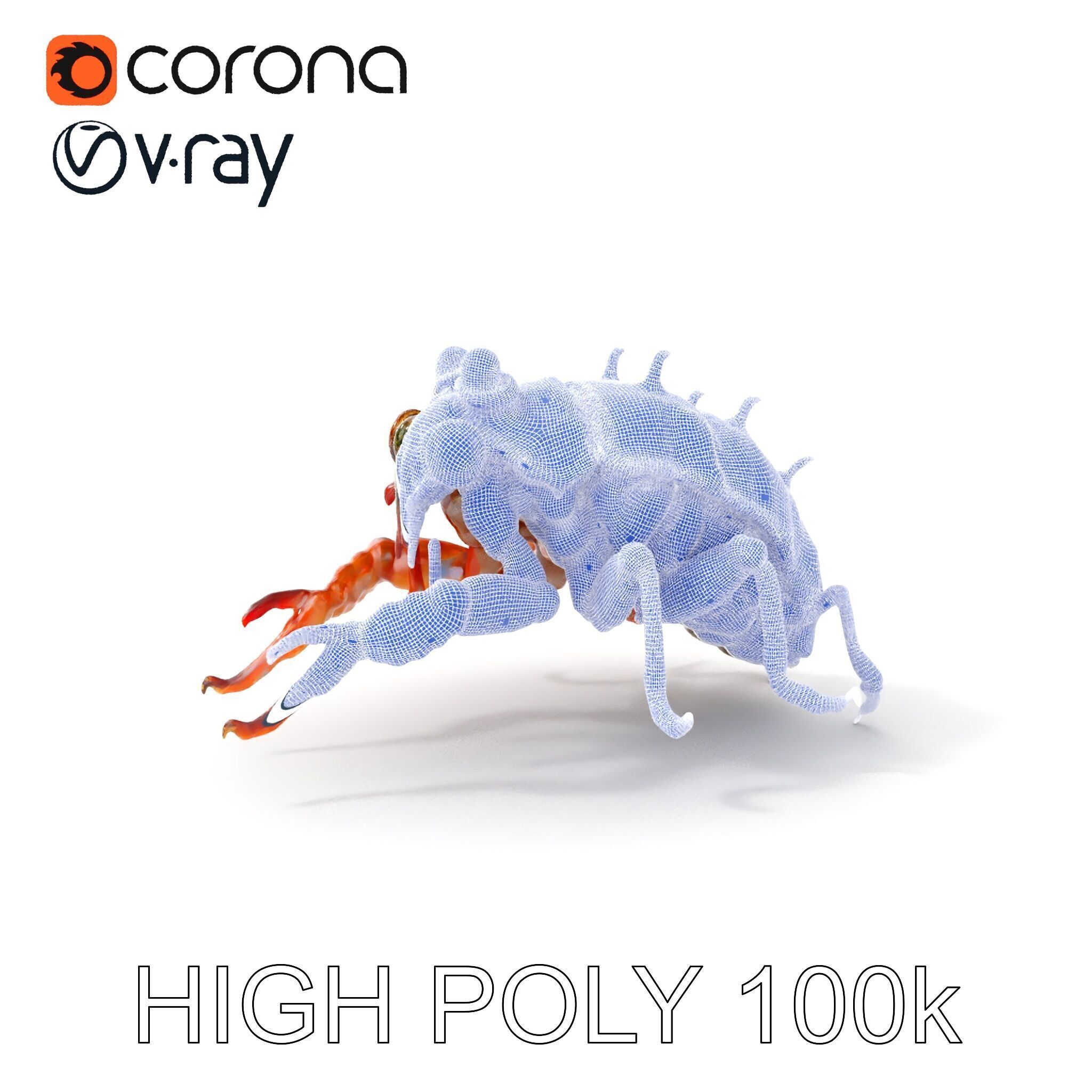 Detailed Insect Model Pack Low-poly 3D model_4