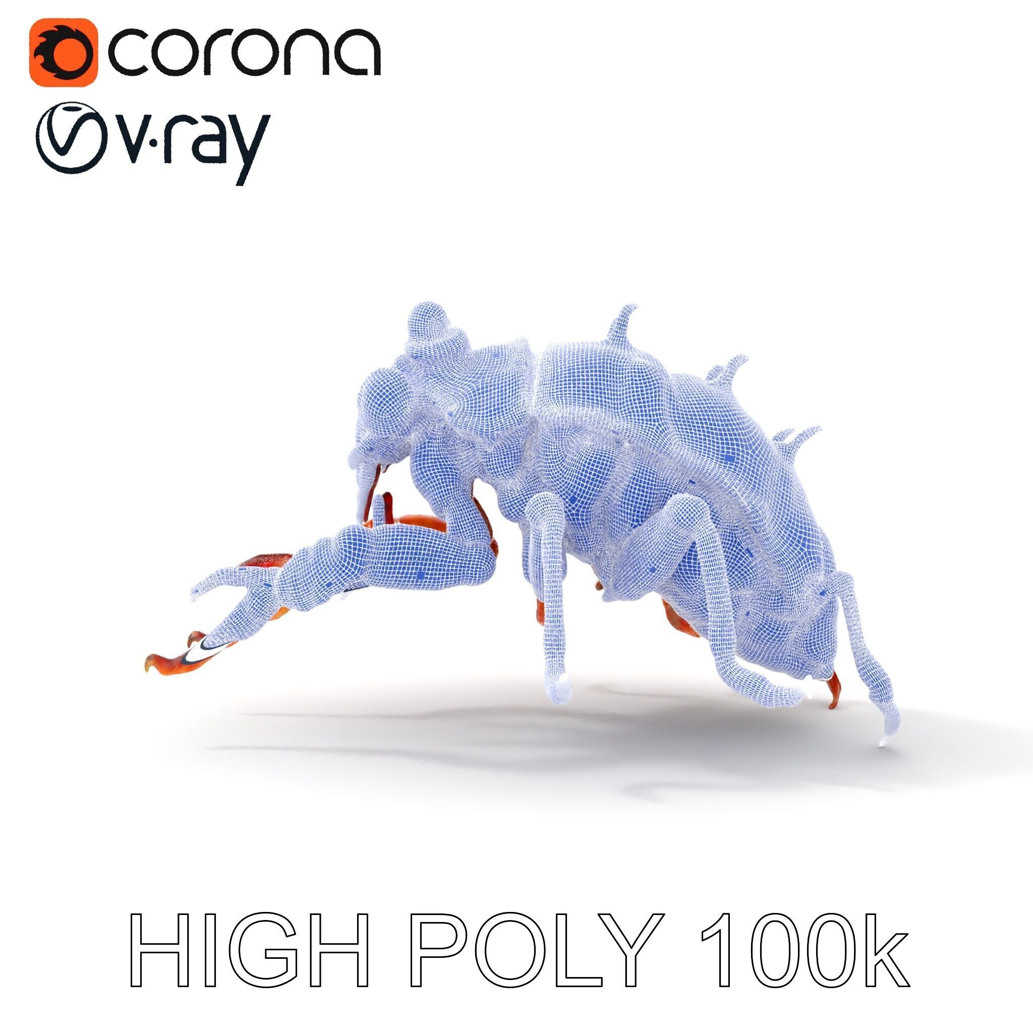 Detailed Insect Model Pack Low-poly 3D model_26