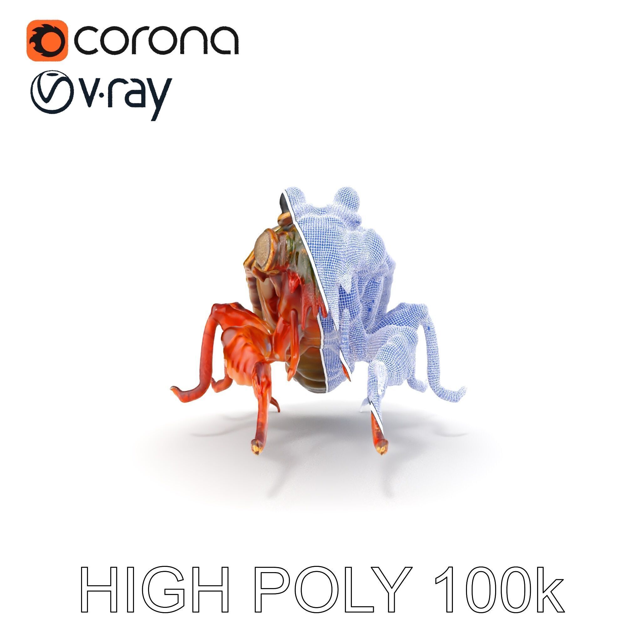 Detailed Insect Model Pack Low-poly 3D model_29