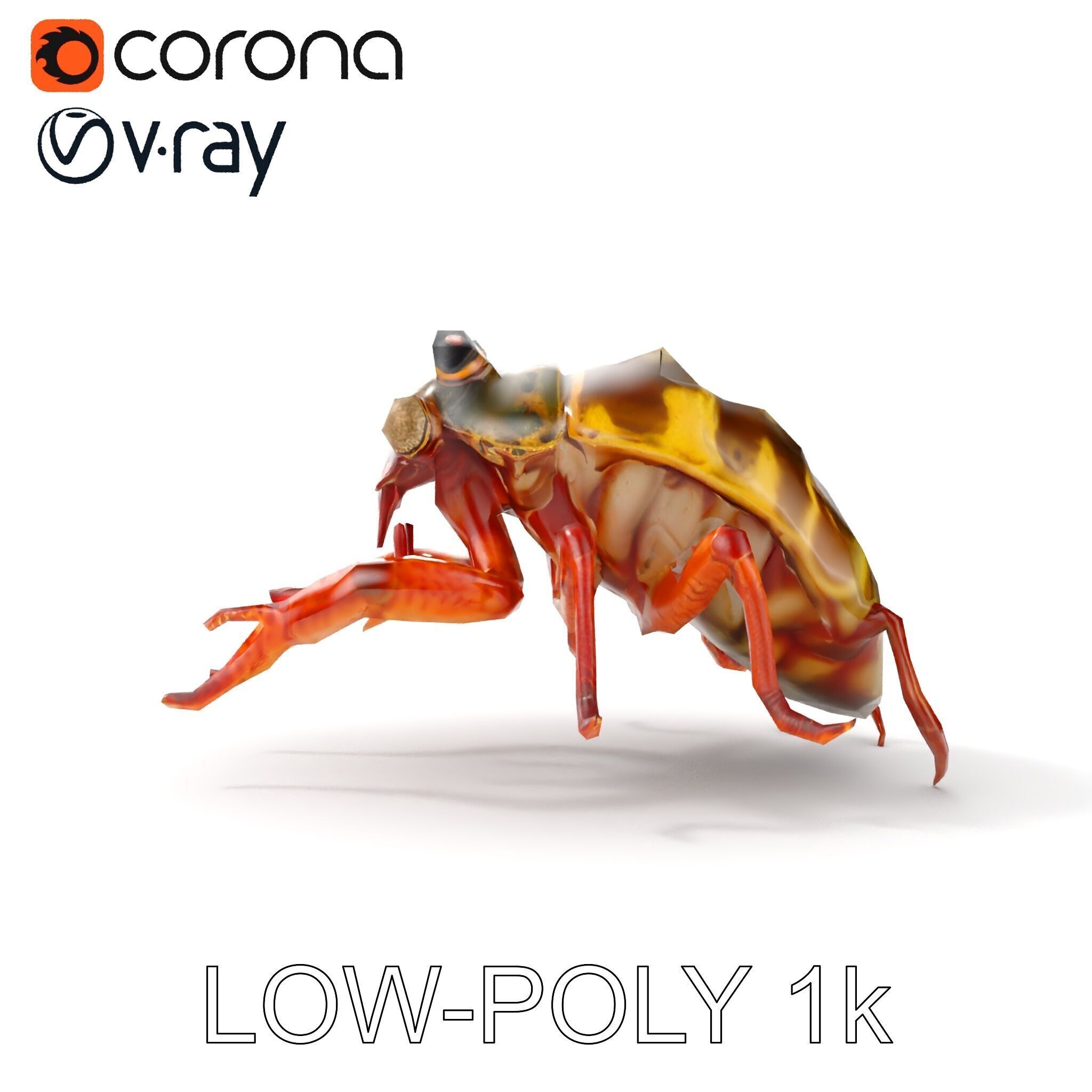 Detailed Insect Model Pack Low-poly 3D model_15