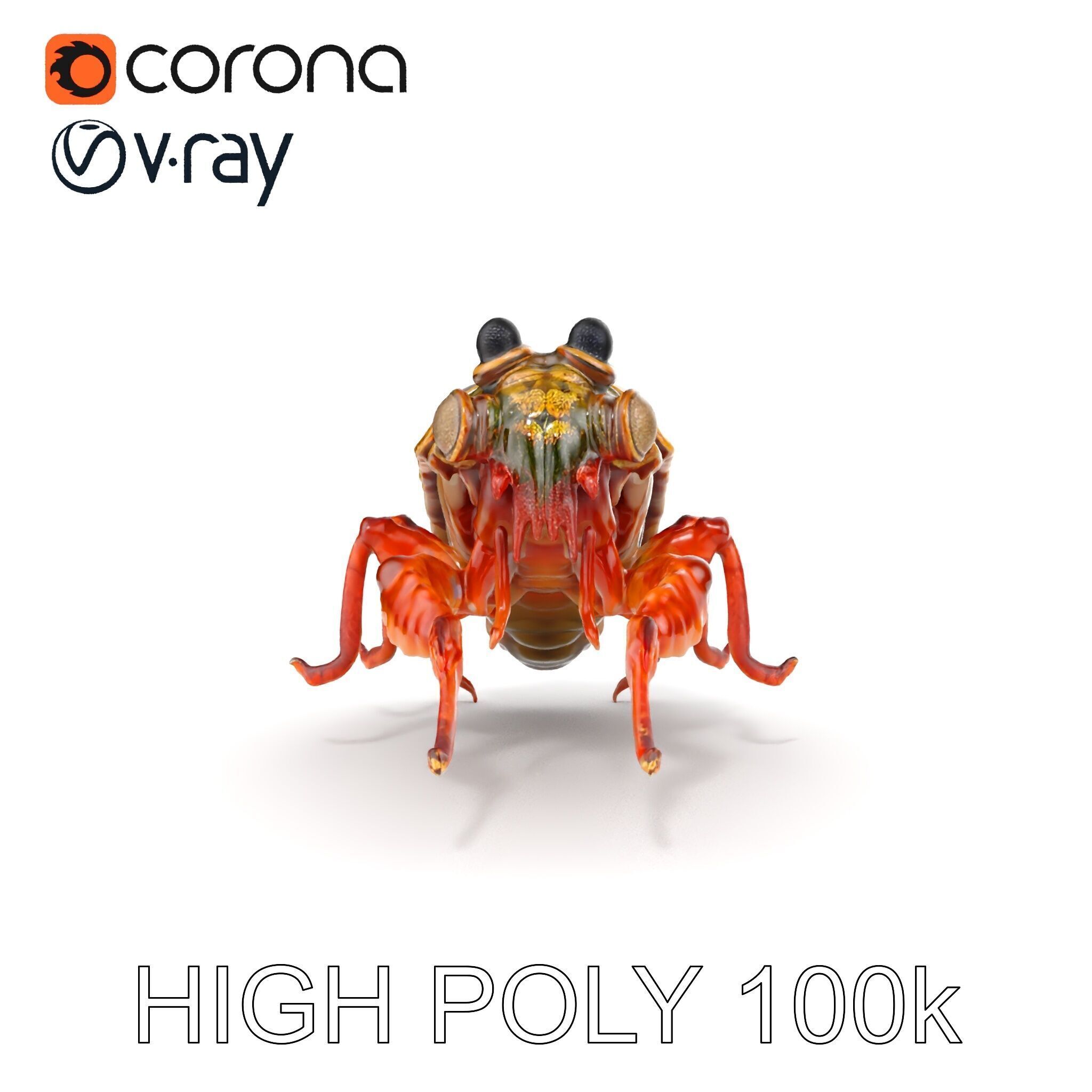 Detailed Insect Model Pack Low-poly 3D model_10