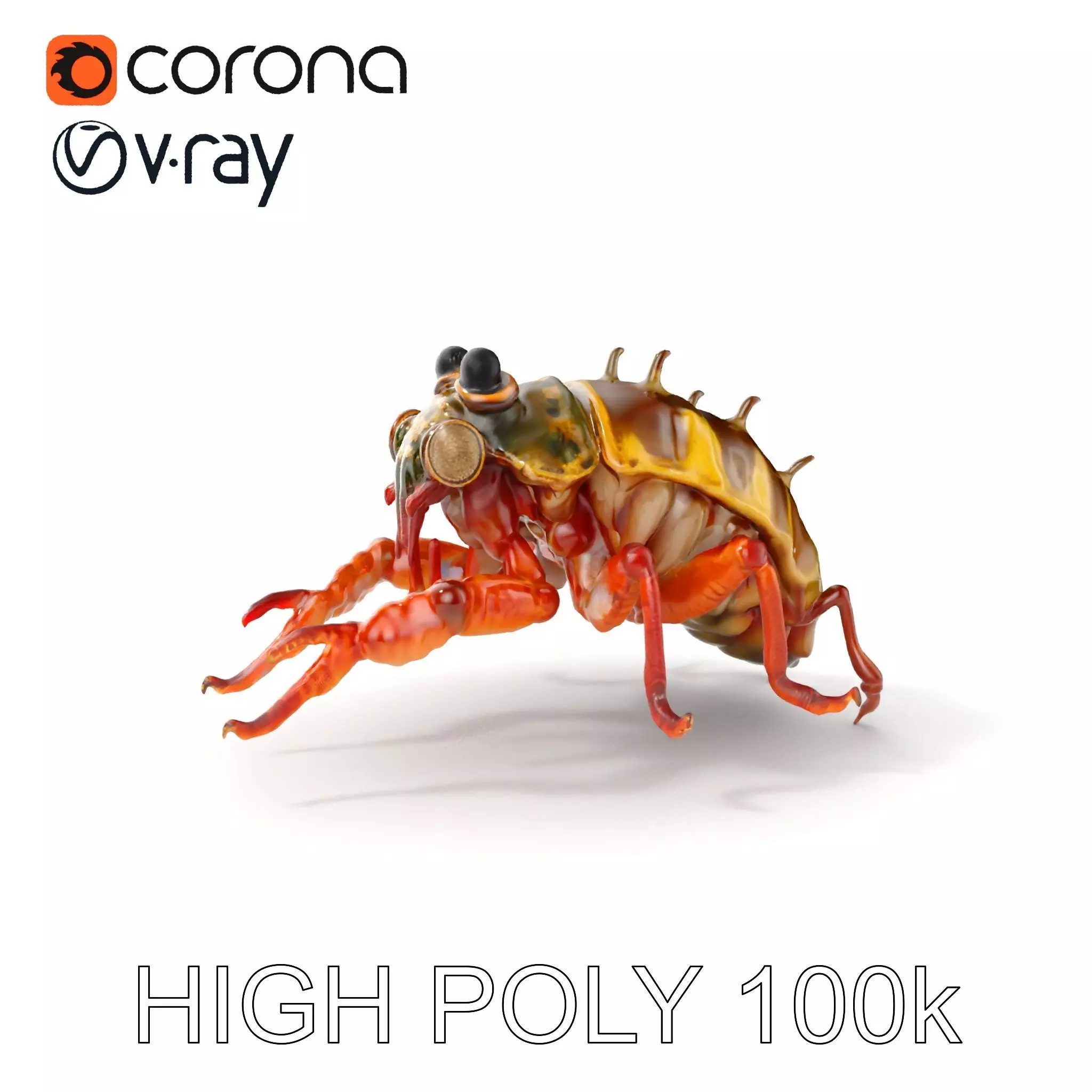 Detailed Insect Model Pack Low-poly 3D model_0