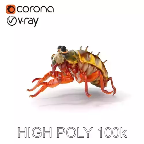 Detailed Insect Model Pack Low-poly 3D model