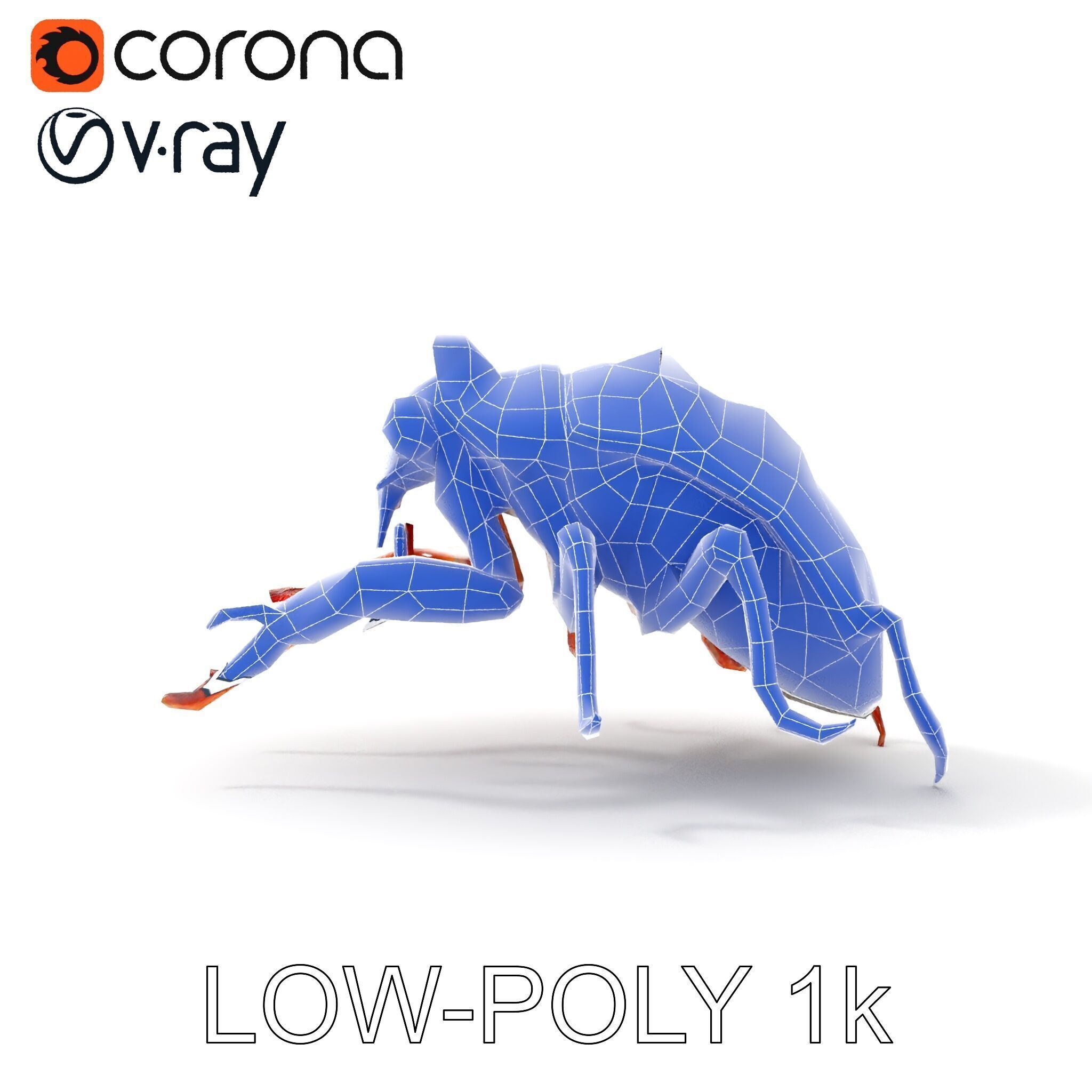 Detailed Insect Model Pack Low-poly 3D model_12