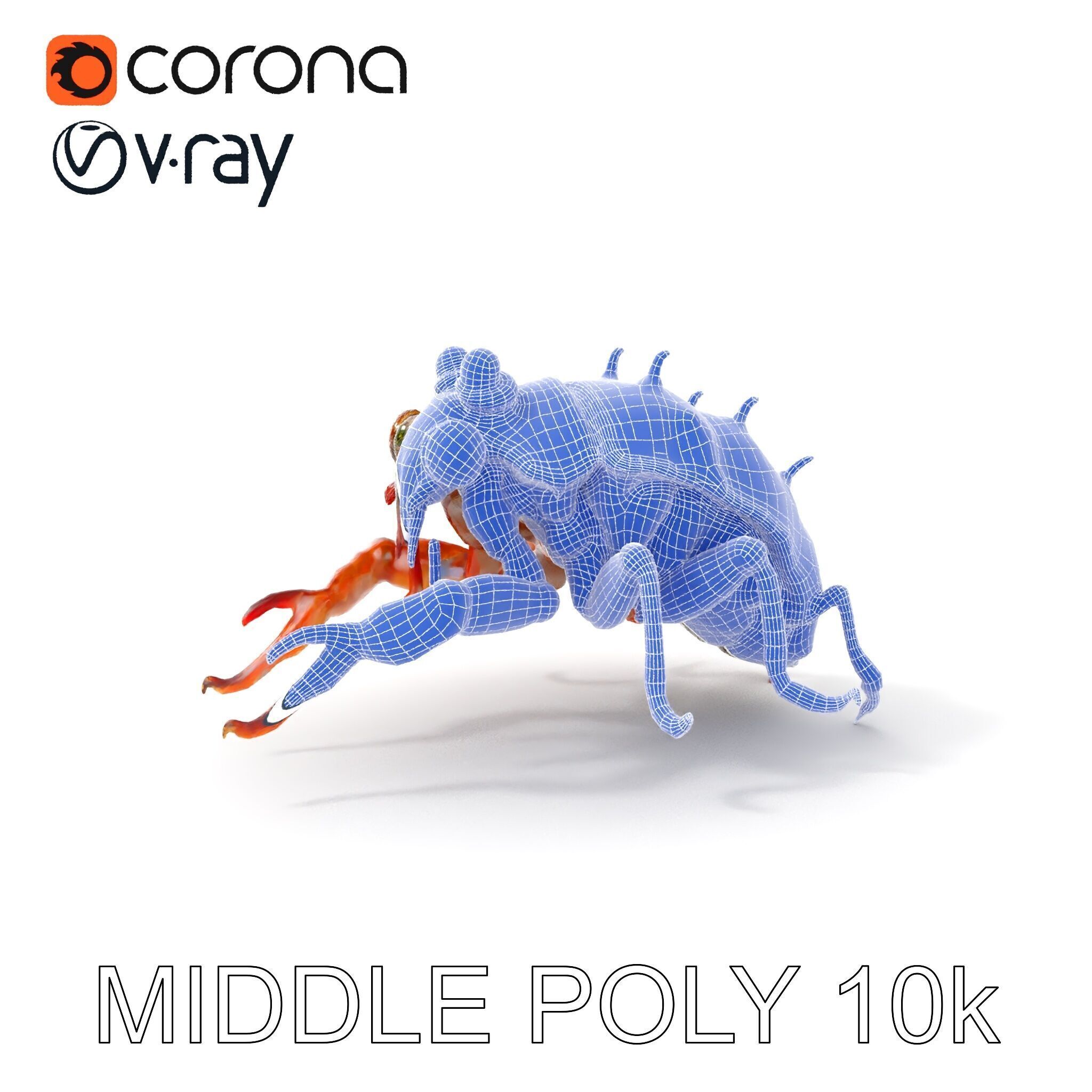 Detailed Insect Model Pack Low-poly 3D model_14