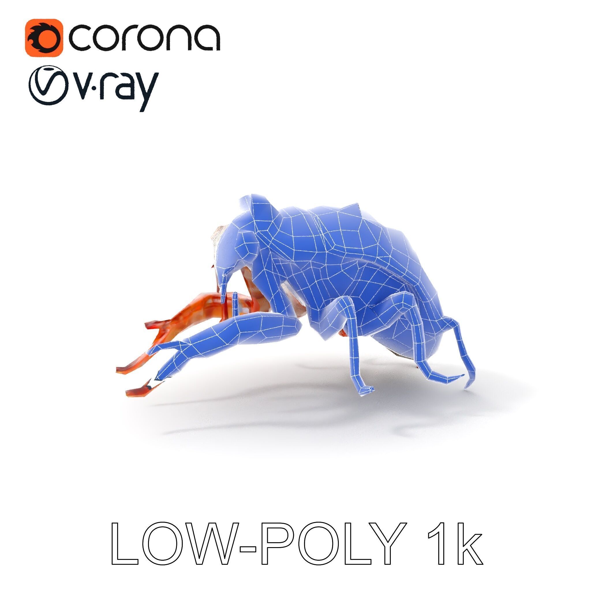 Detailed Insect Model Pack Low-poly 3D model_25