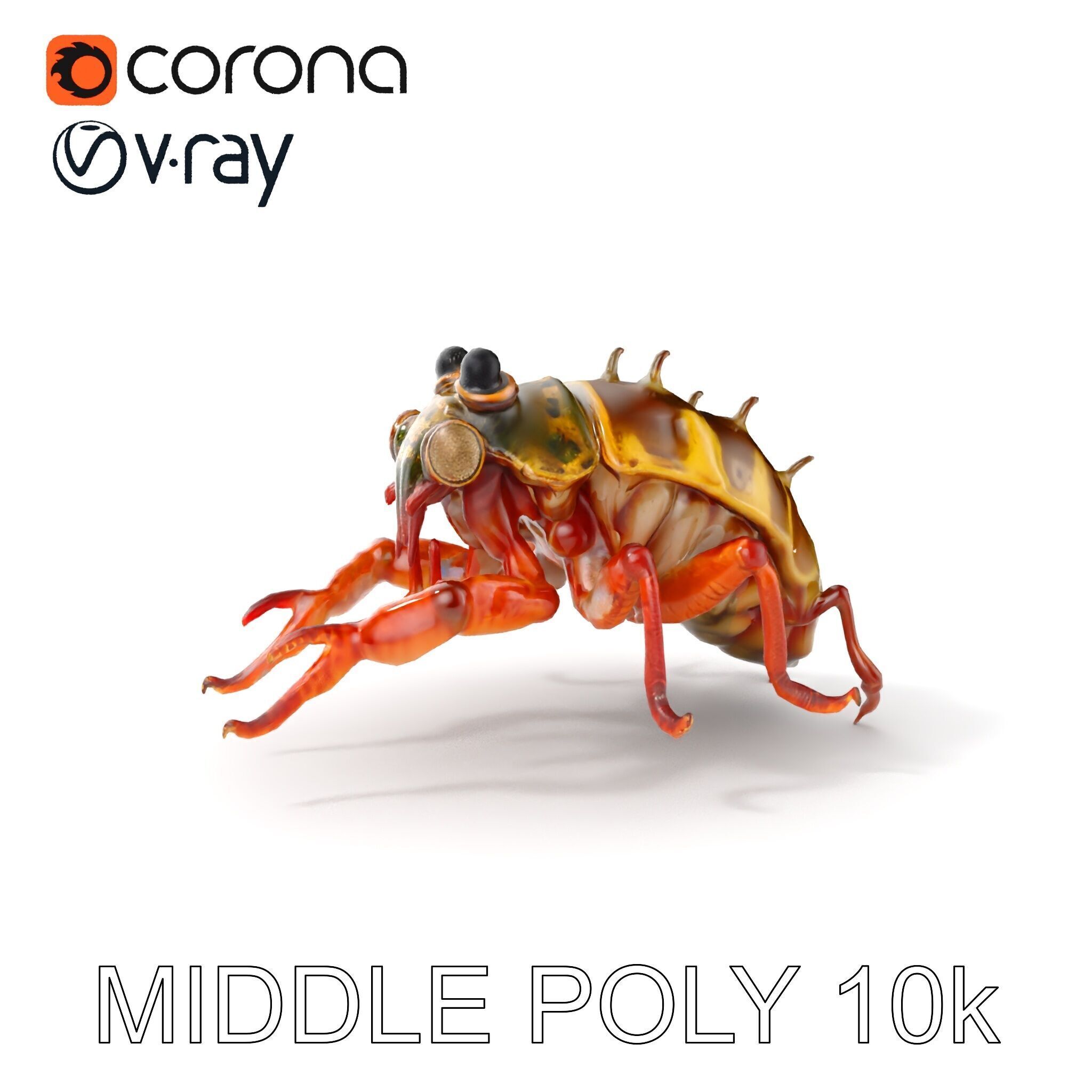Detailed Insect Model Pack Low-poly 3D model_32
