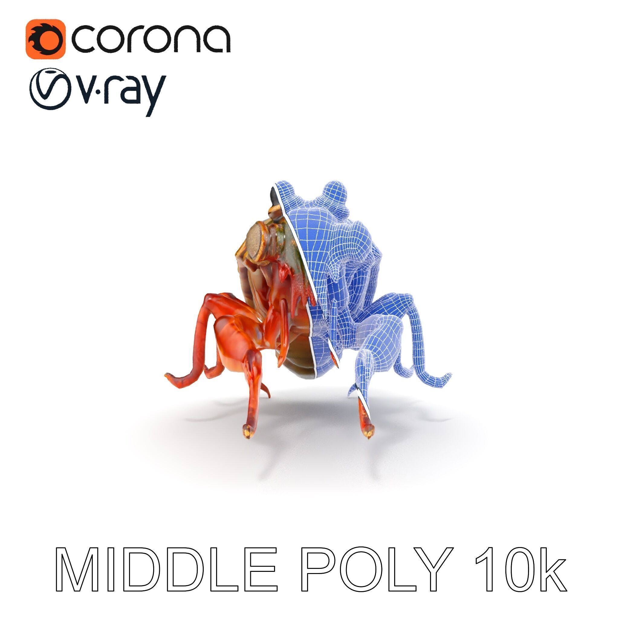 Detailed Insect Model Pack Low-poly 3D model_30