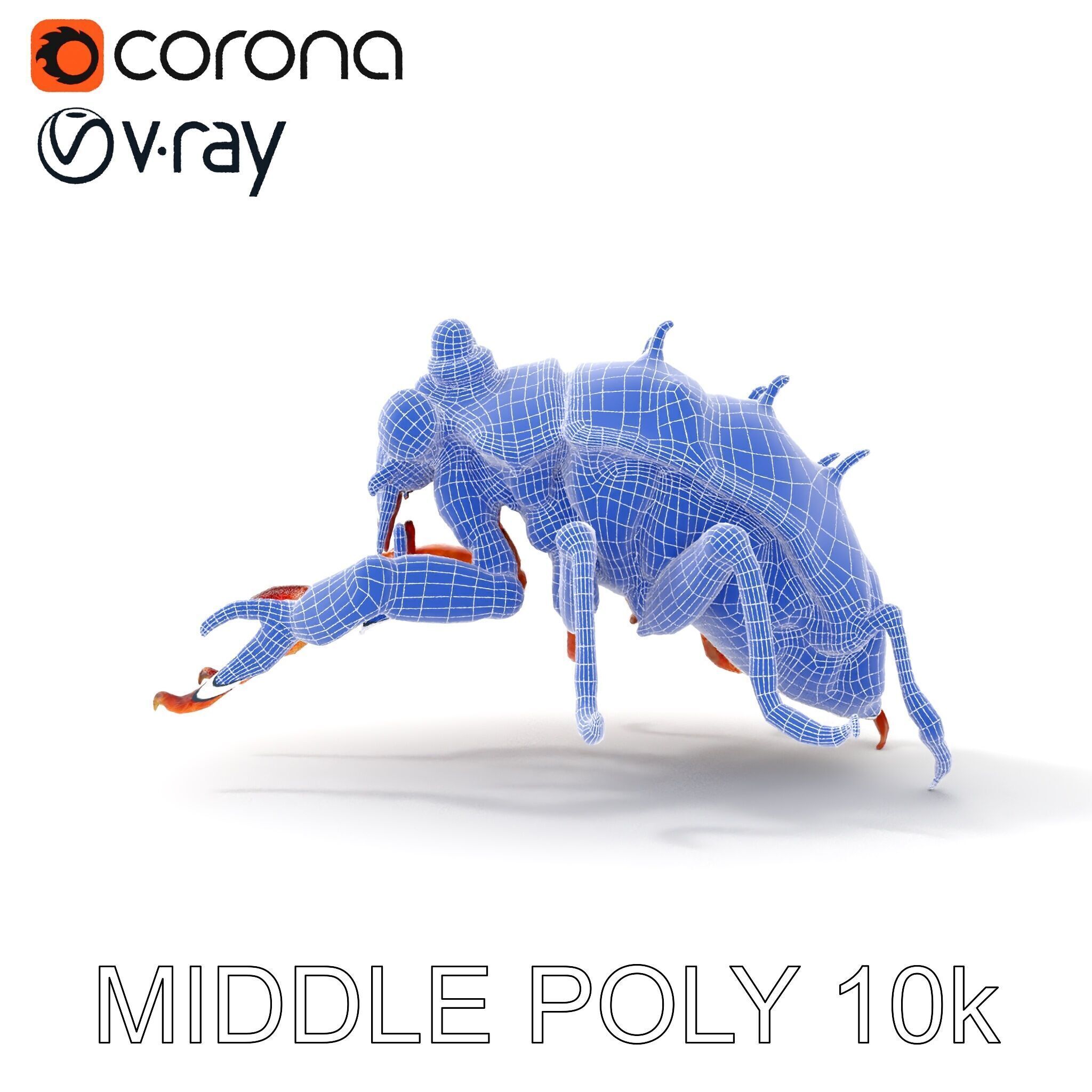 Detailed Insect Model Pack Low-poly 3D model_11