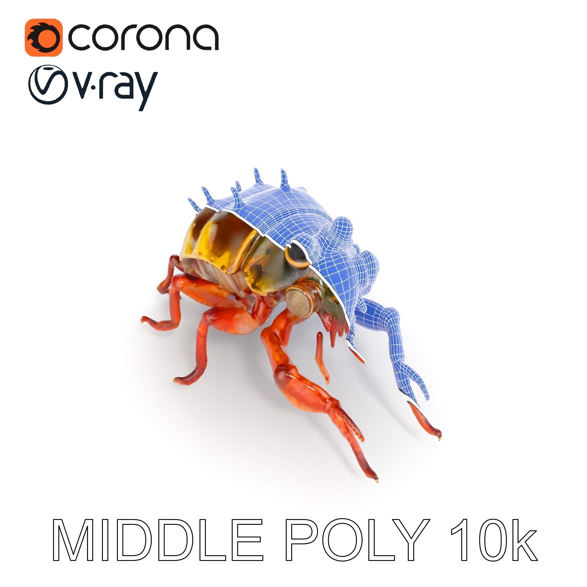 Detailed Insect Model Pack Low-poly 3D model_24