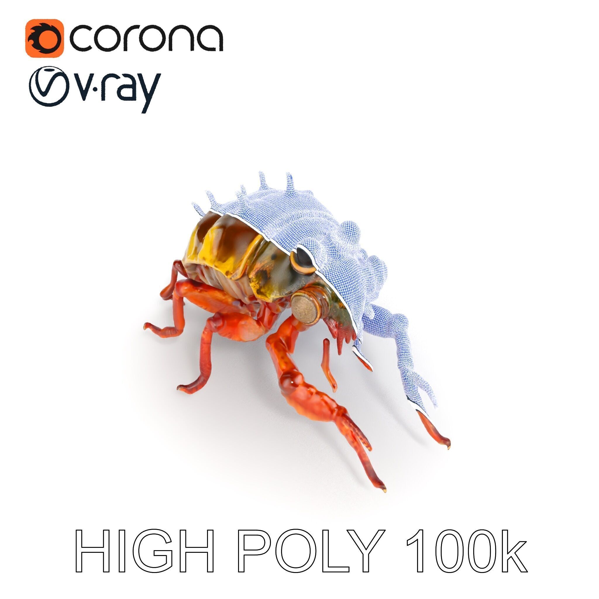 Detailed Insect Model Pack Low-poly 3D model_13
