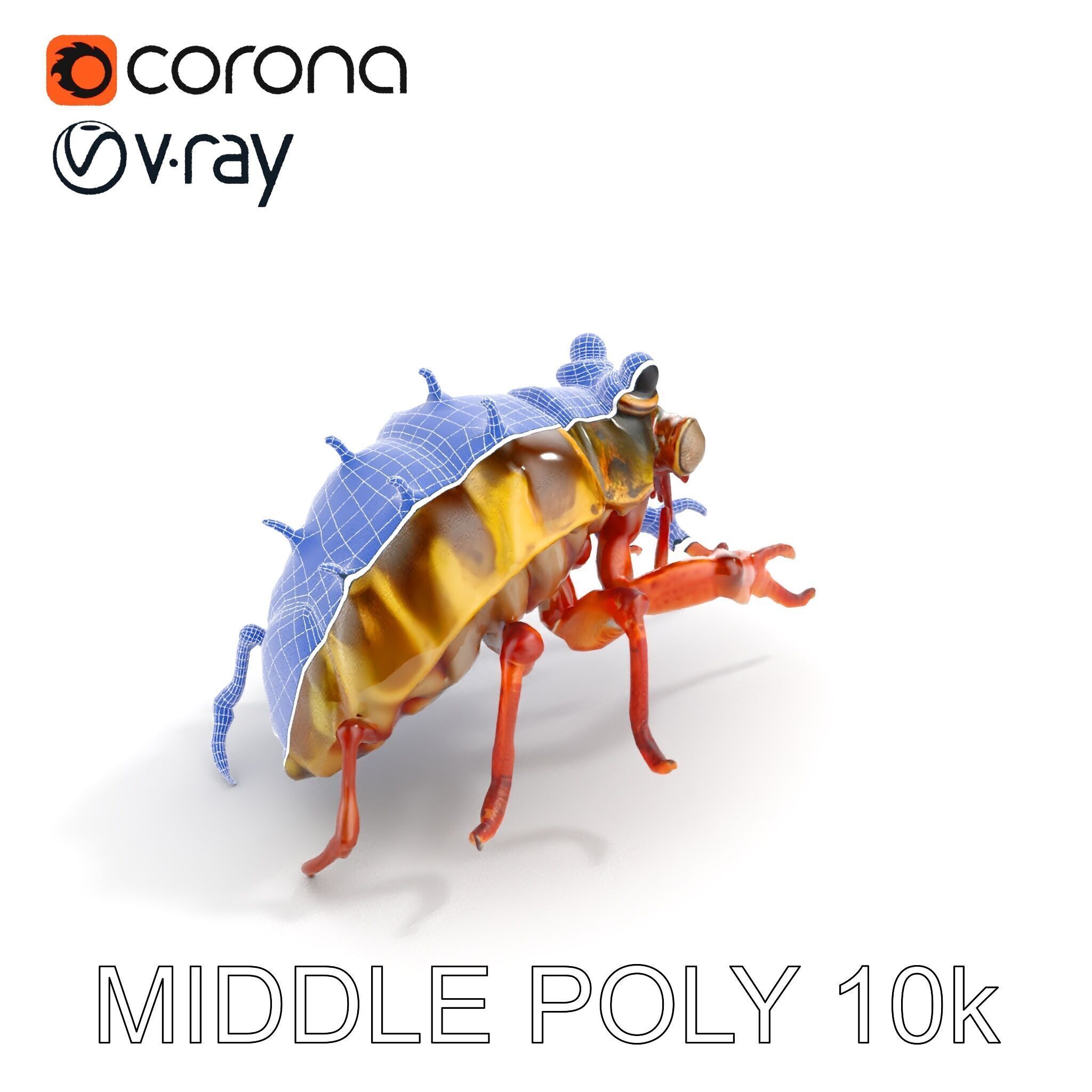 Detailed Insect Model Pack Low-poly 3D model_17