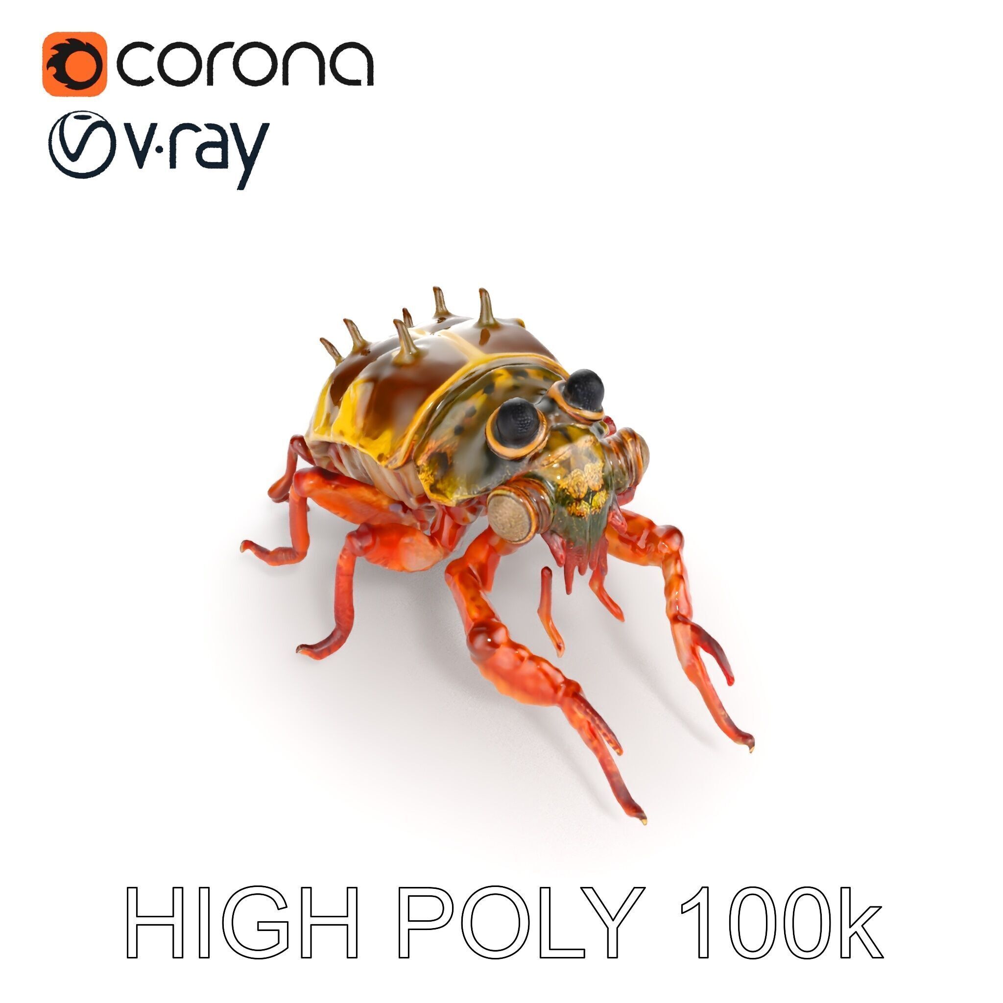 Detailed Insect Model Pack Low-poly 3D model_35