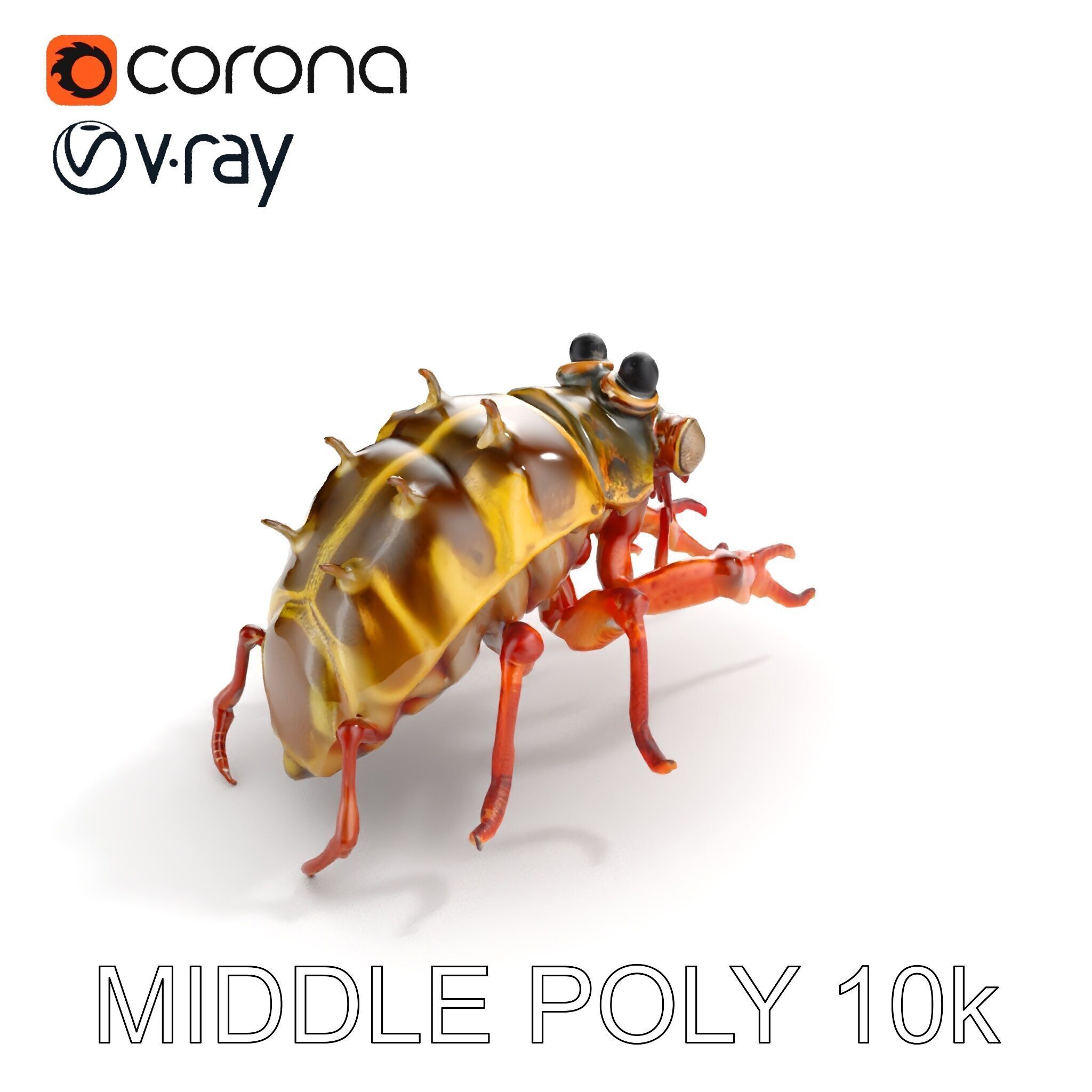 Detailed Insect Model Pack Low-poly 3D model_19