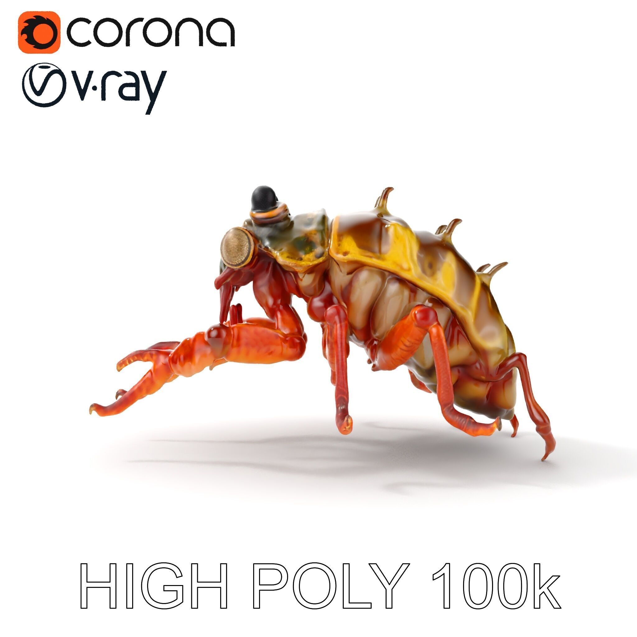 Detailed Insect Model Pack Low-poly 3D model_34