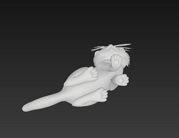 Cat Realistic 3D Model Basic - Low Poly Realistic Low-poly 3D model_14