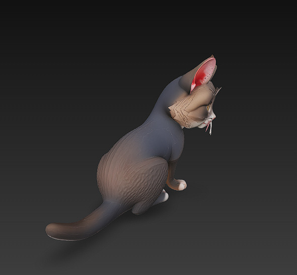 Cat Realistic 3D Model Basic - Low Poly Realistic Low-poly 3D model_6