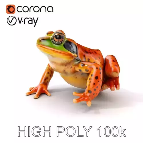 Colorful Frog Model Pack for Realistic Rendering